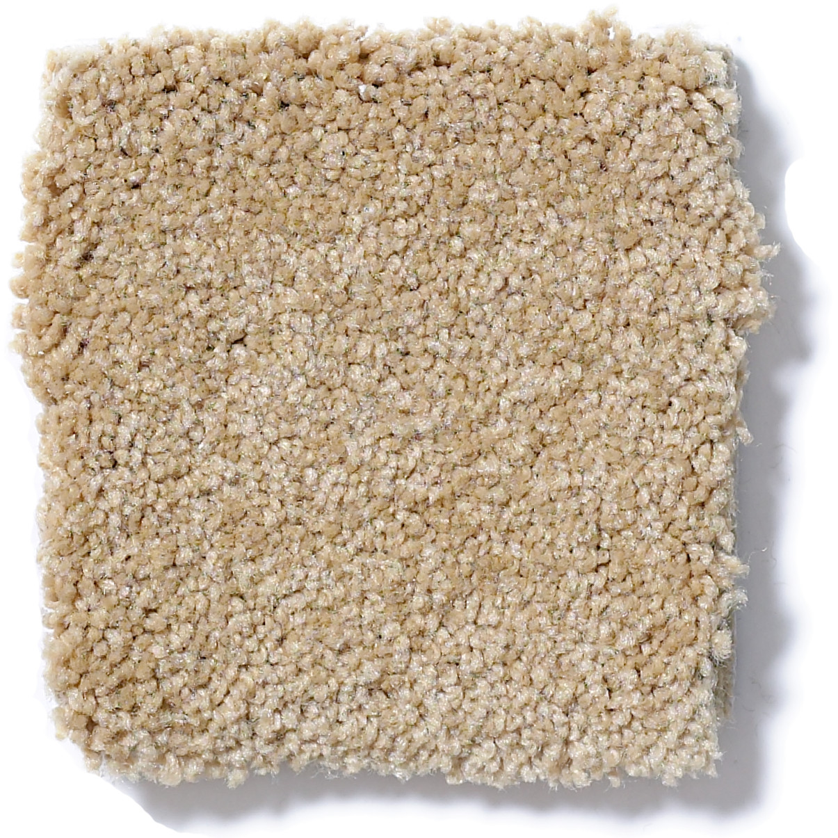TIMELESS APPEAL III 12' CORNFIELD SWATCH