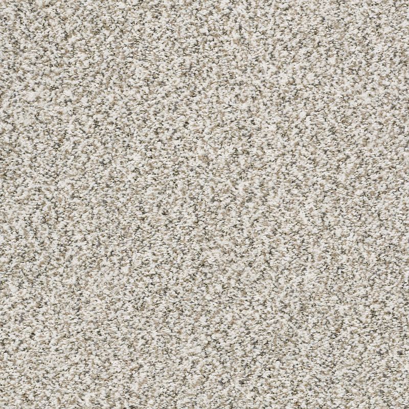 All Set I E9874 Broadloom Carpet in Silversmith color, 12ft width, made of 100% polyester