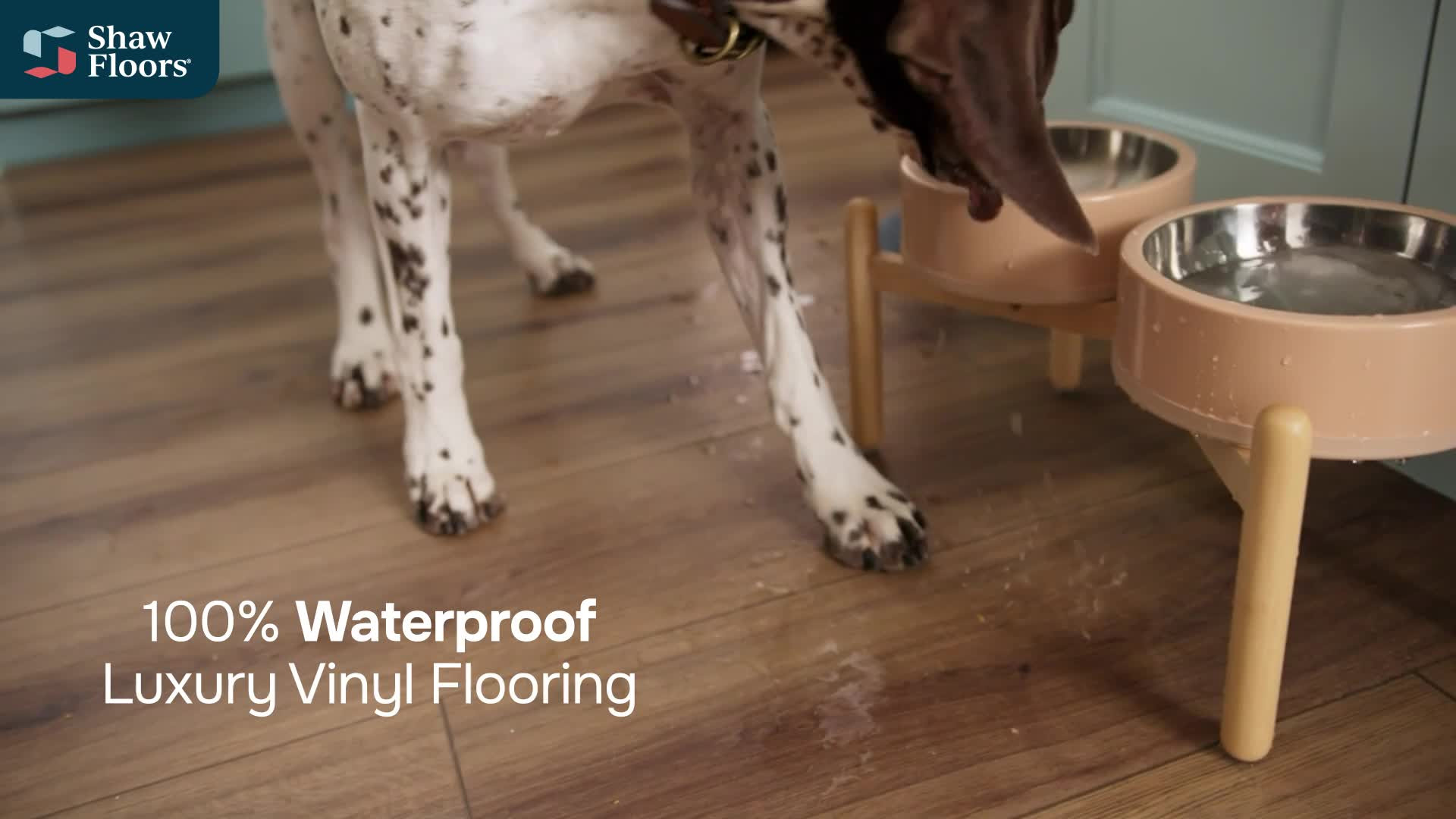 BRIARD ECRU MAPLE Briard 3128v Style Video