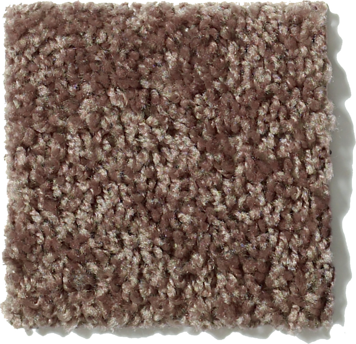 TAKE AWAY (S) CANOE SWATCH