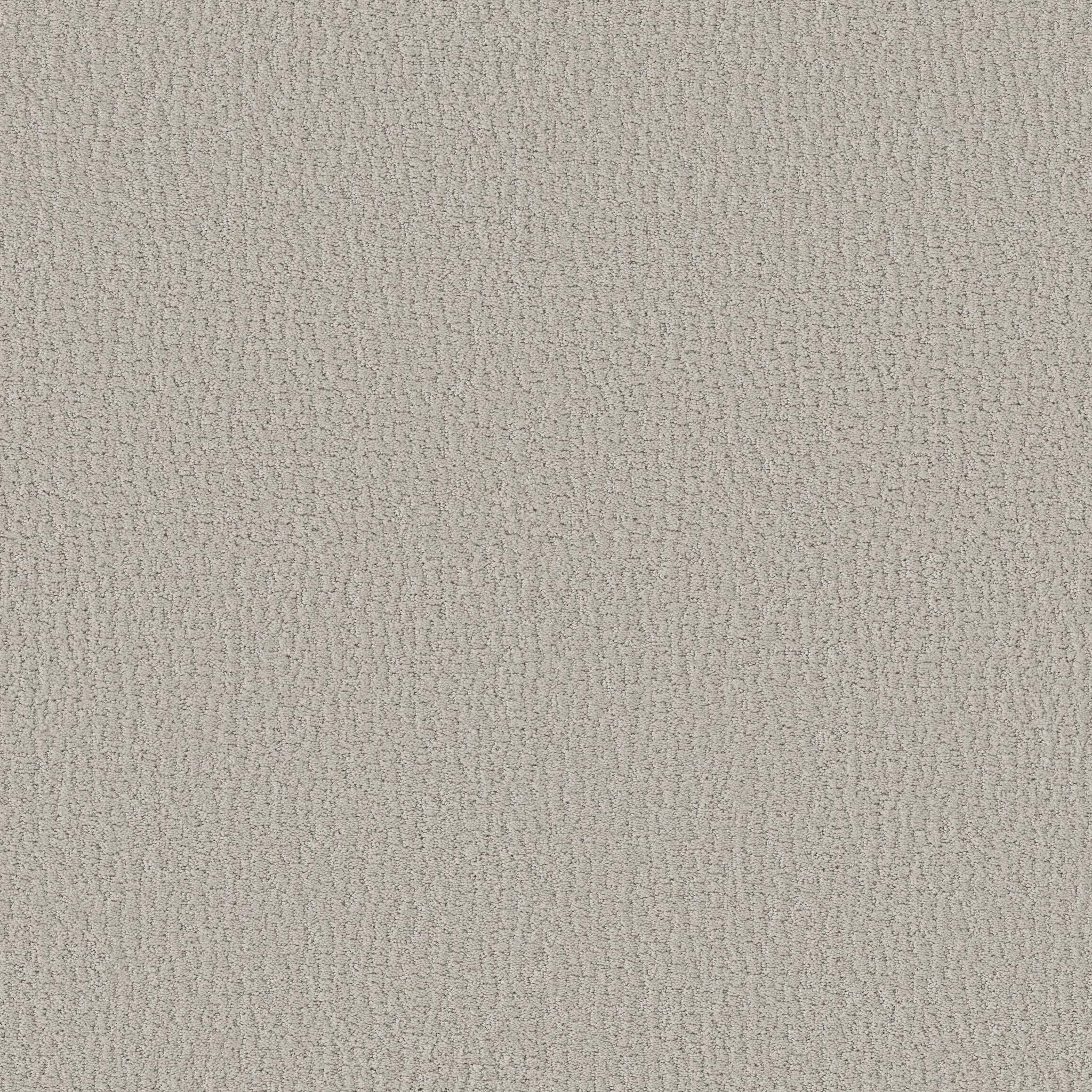 STUDIO SET FOREST FOG MAIN