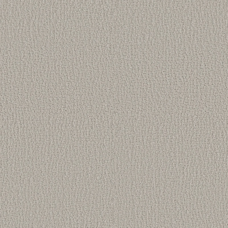 STUDIO SET in Forest Fog by Shaw Floors