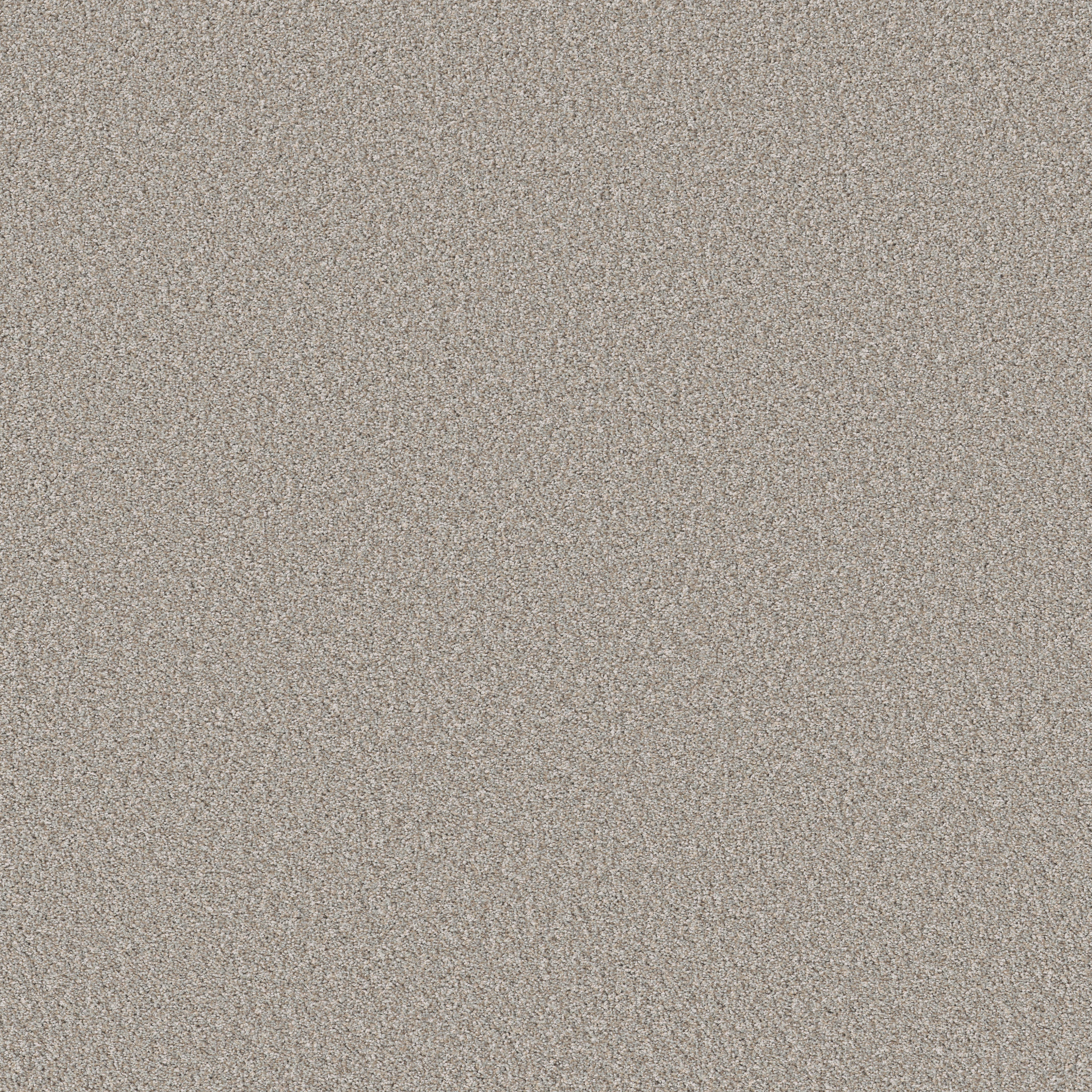 REFINED BEAUTY SILVER MIST MAIN