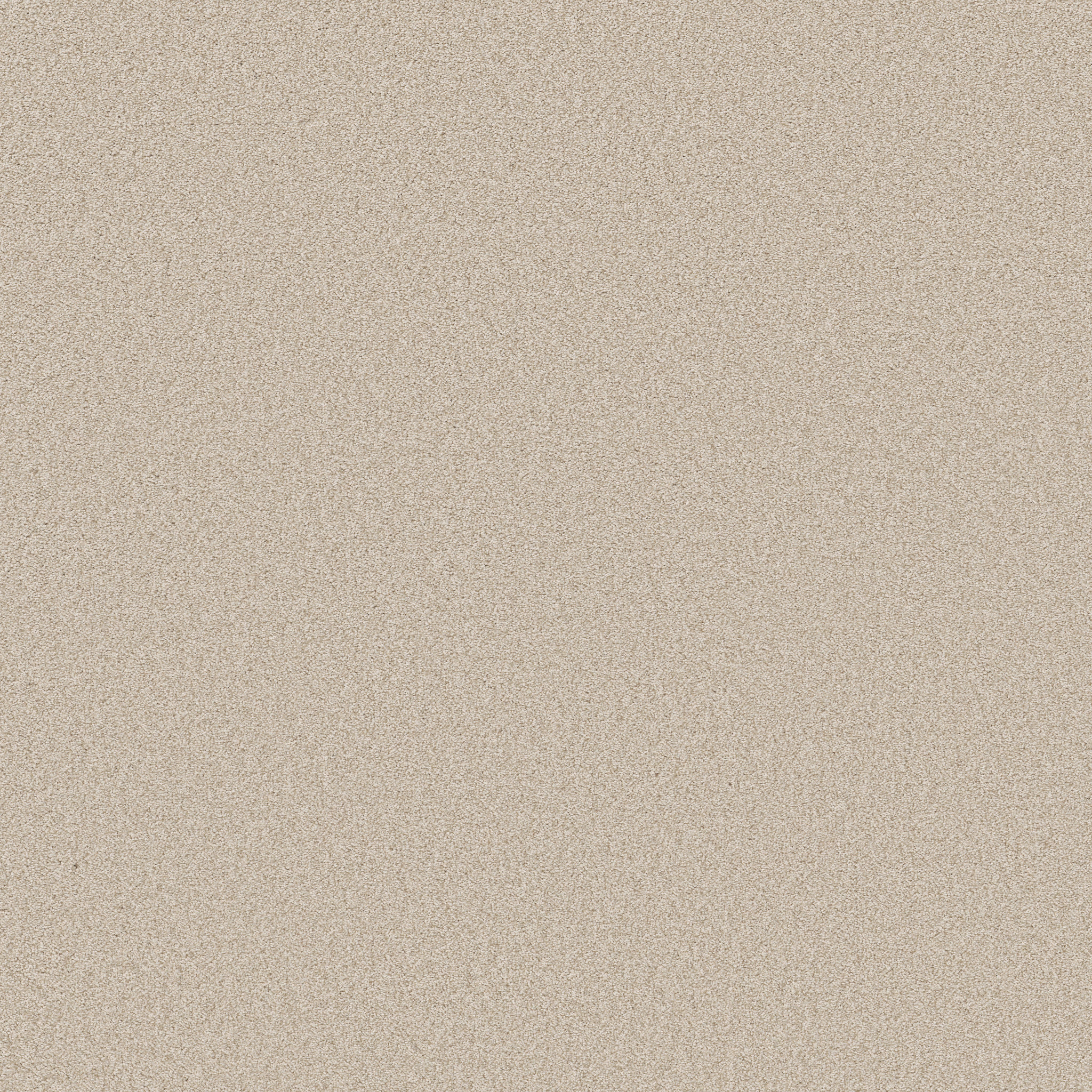 DEL RIO II CHAMPAGNE TOAST MAIN