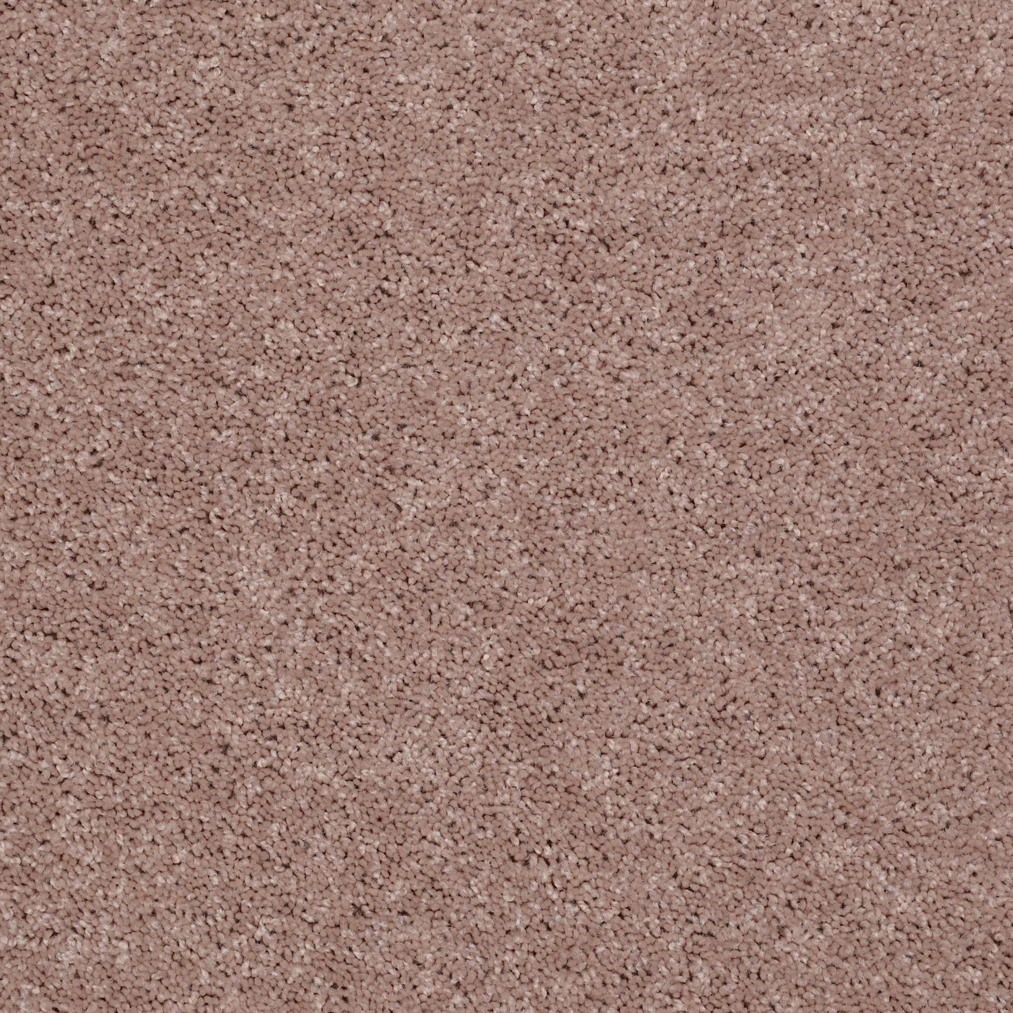 ROYAL PORTRUSH III 15' TASSEL MAIN