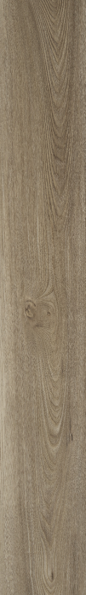 DISTINCTION PLUS ASH OAK 1TO1