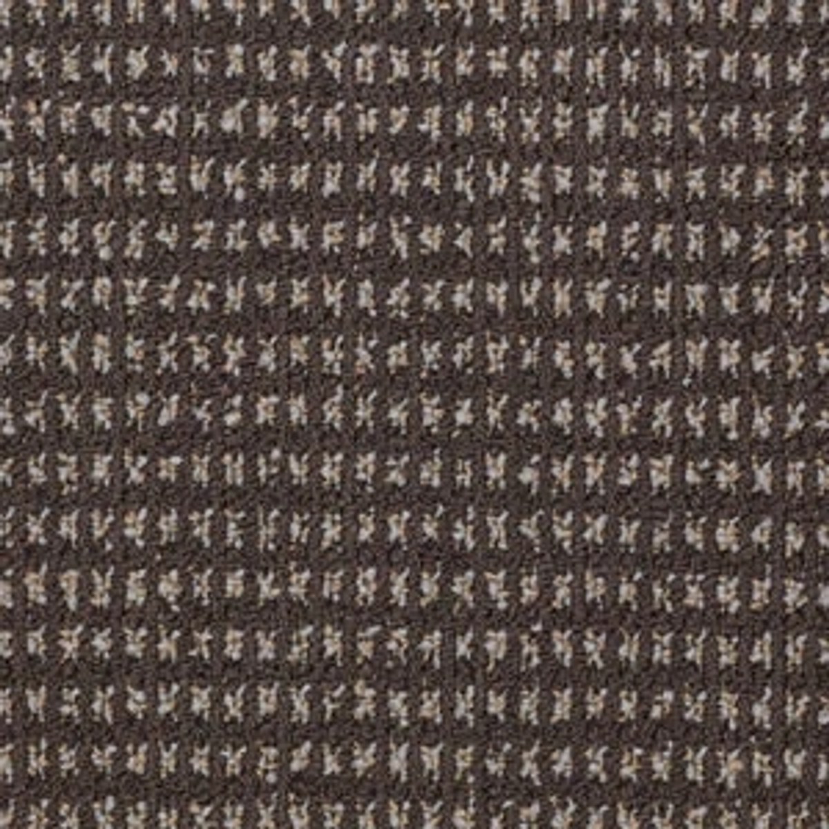 Philadelphia Commercial MODERN TRADITIONS — BARK