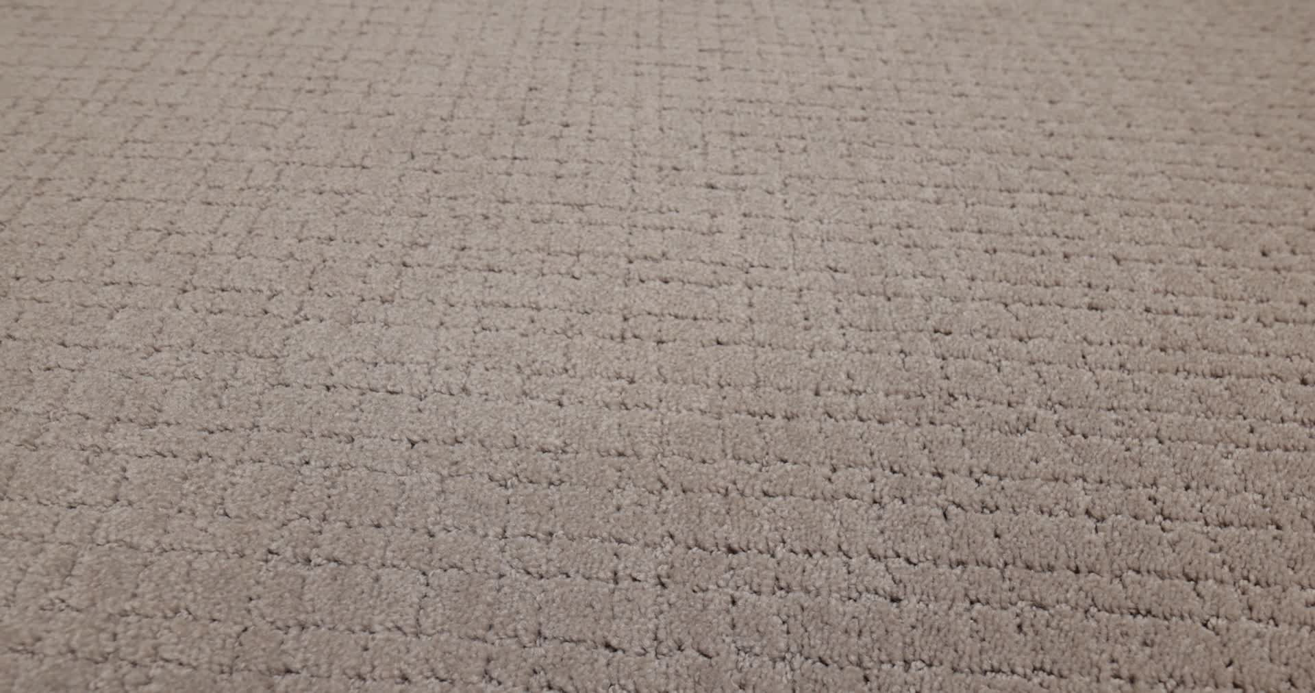 MOSAIC SOCIALITE 360PROD