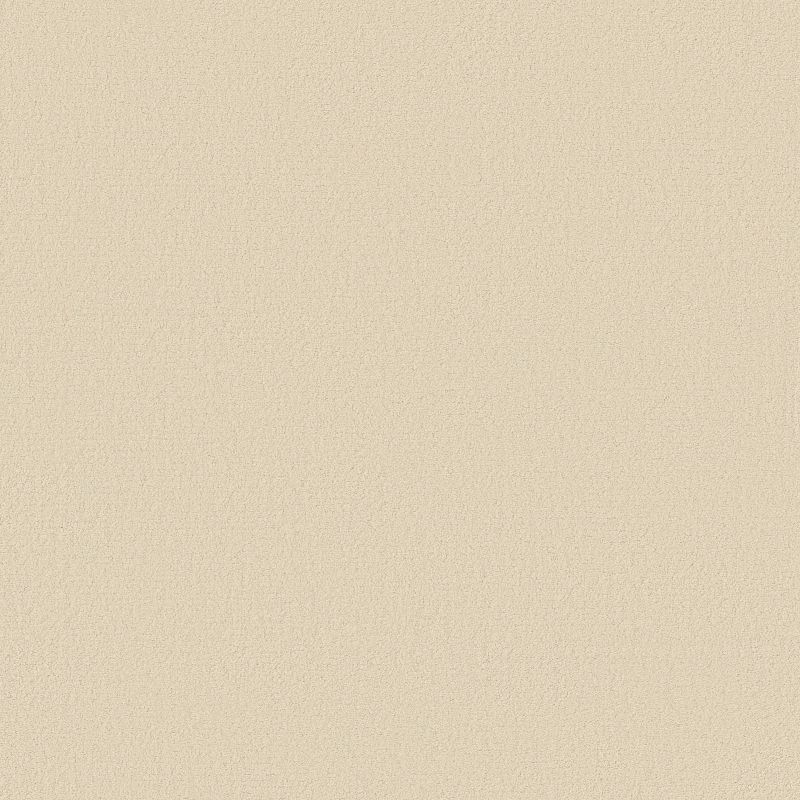 Finery Broadloom Carpet in Valley View color, 100% Nylon material, 12ft width