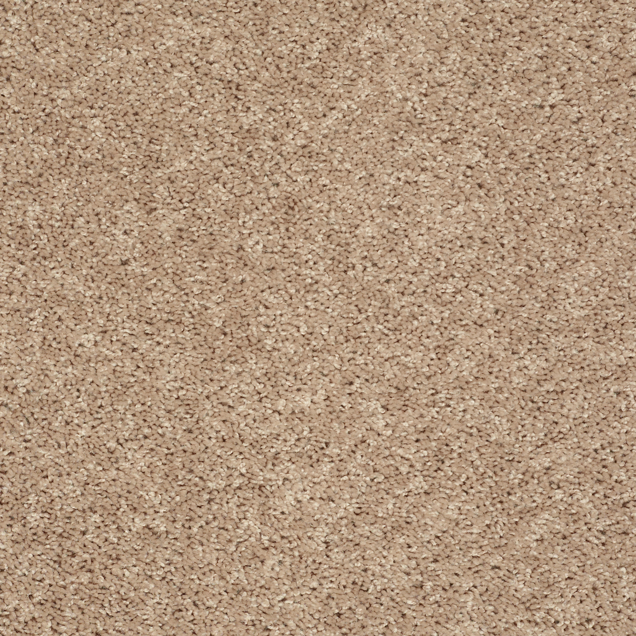 GO BIG NATURAL FLAX MAIN