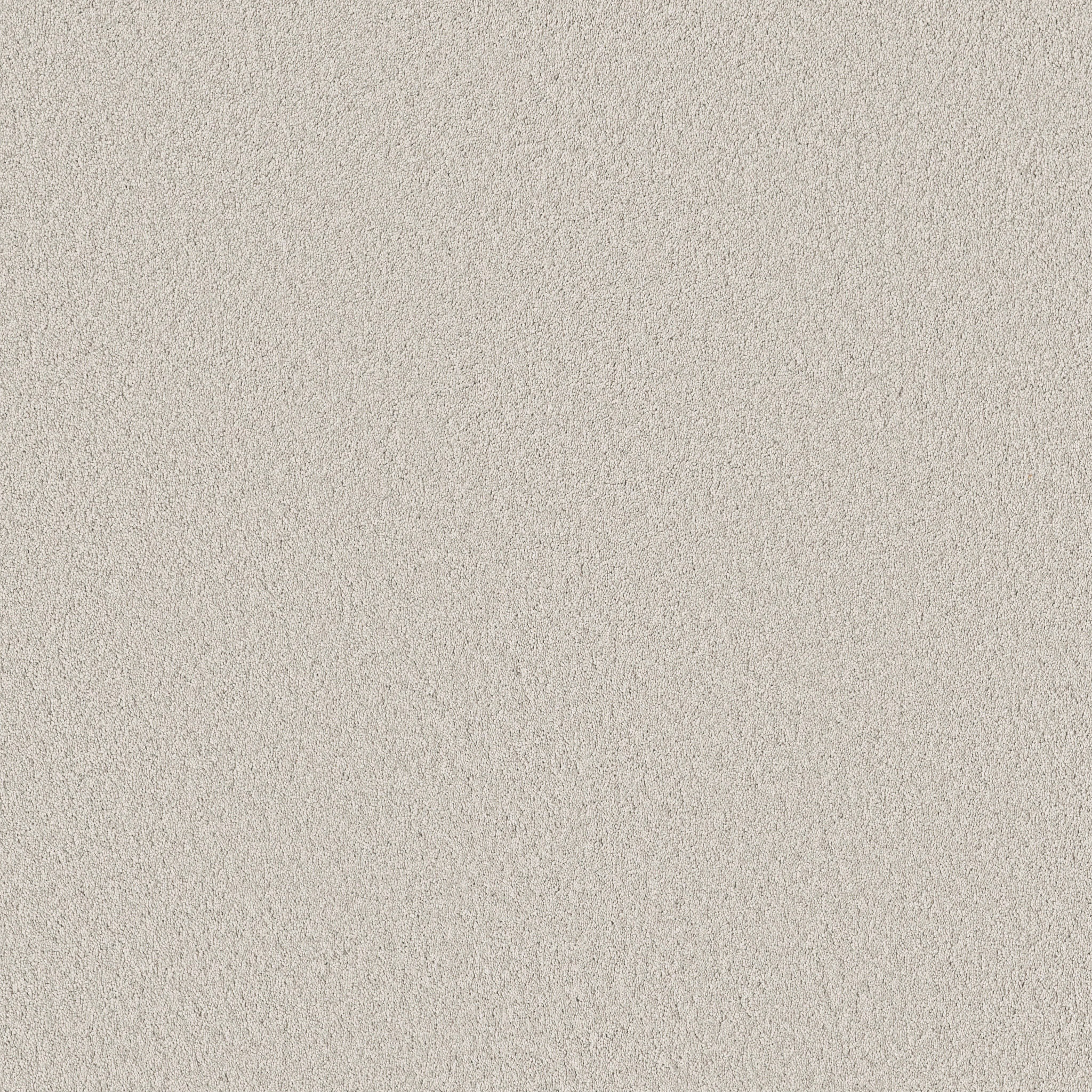 VELVET TOUCH I FROZEN MAIN