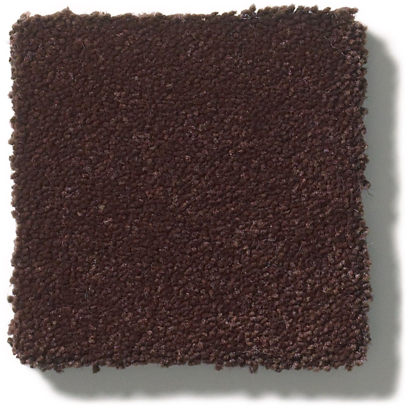 PERFECT CHOICE ROOT BEER SWATCH