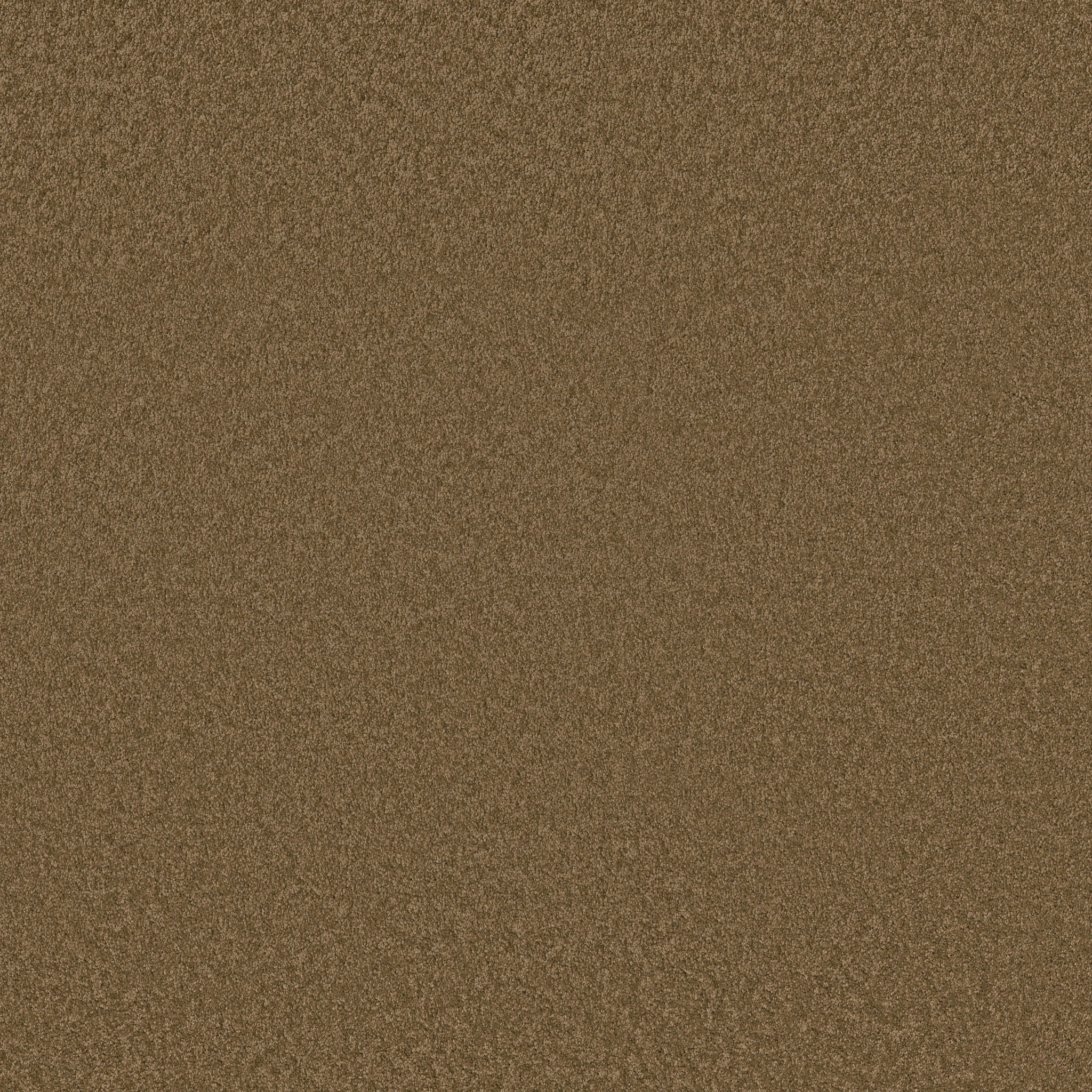 ENDURING COMFORT III CABIN MAIN