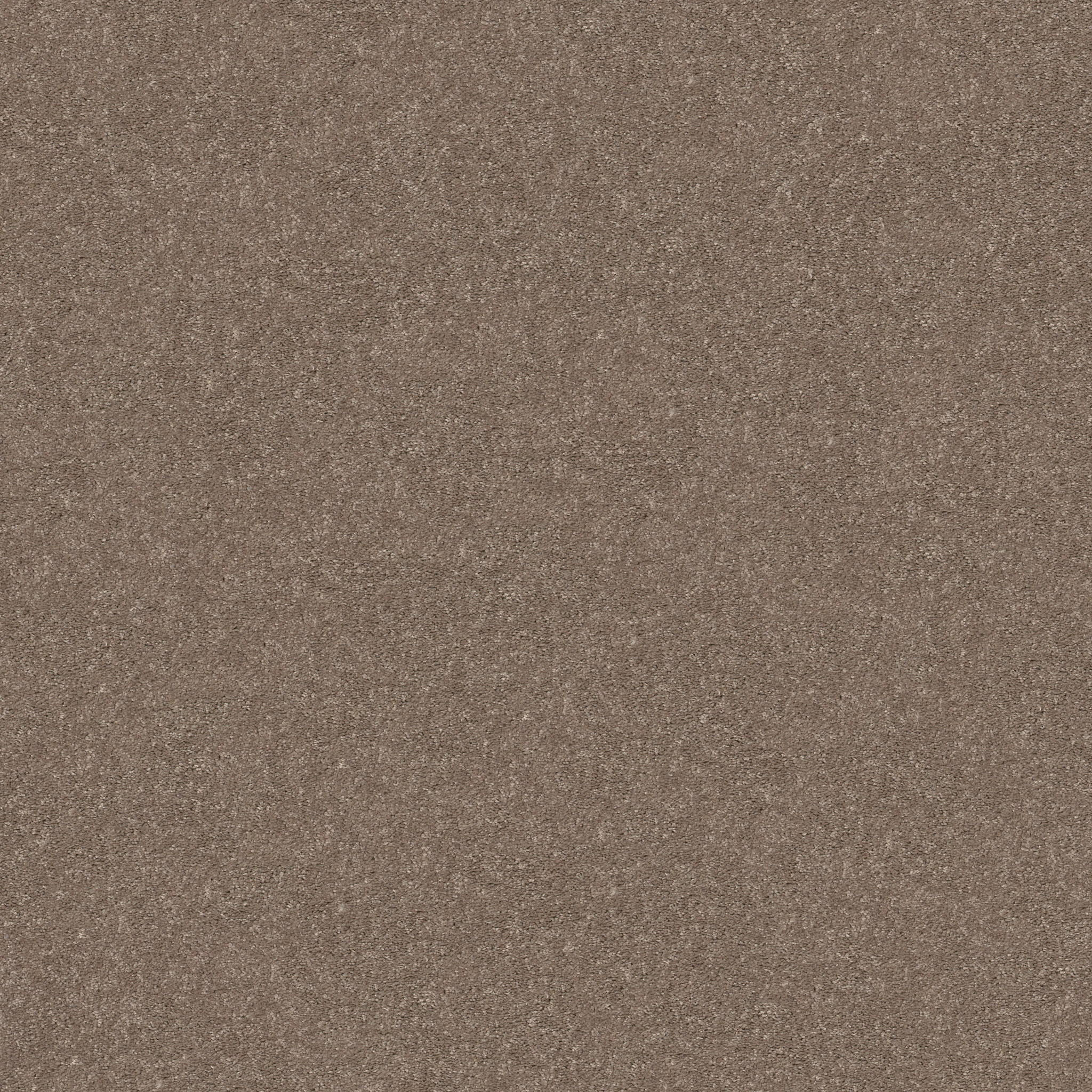 SMOOTH TALK I CEDAR KEY MAIN