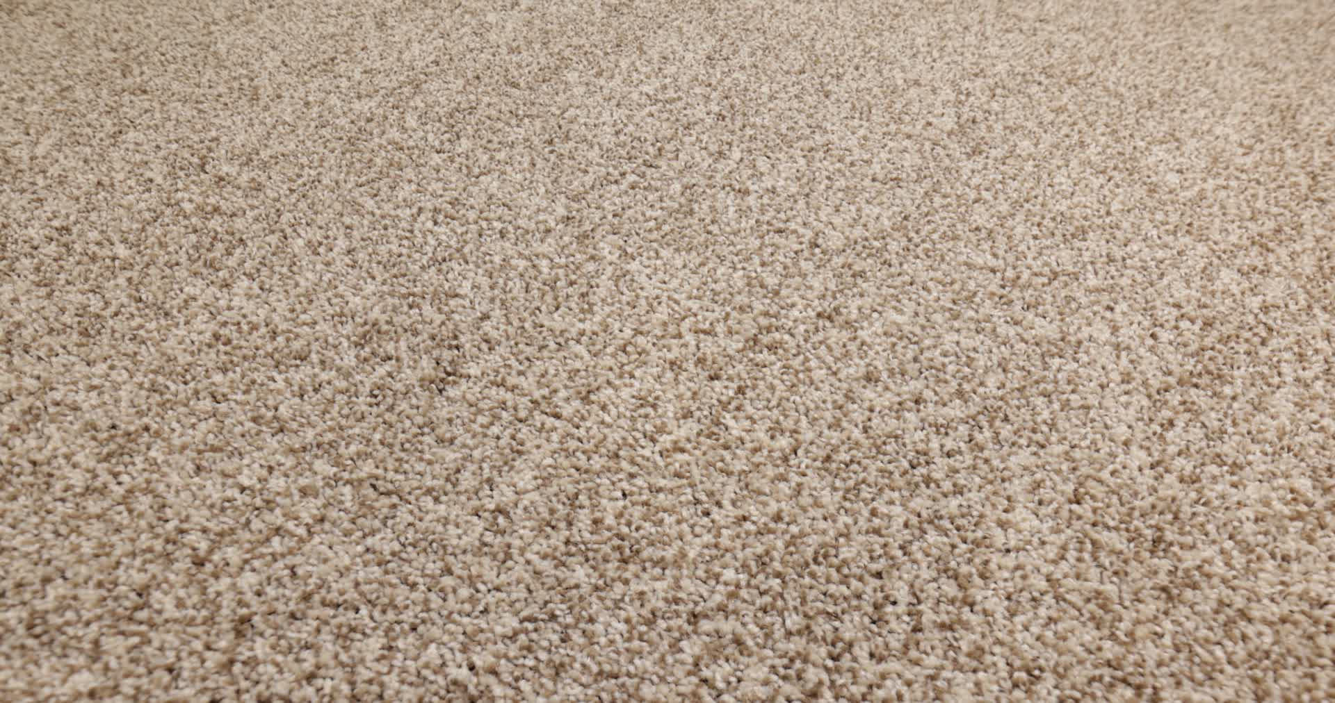 VIA NOVA NUTSHELL 360PROD