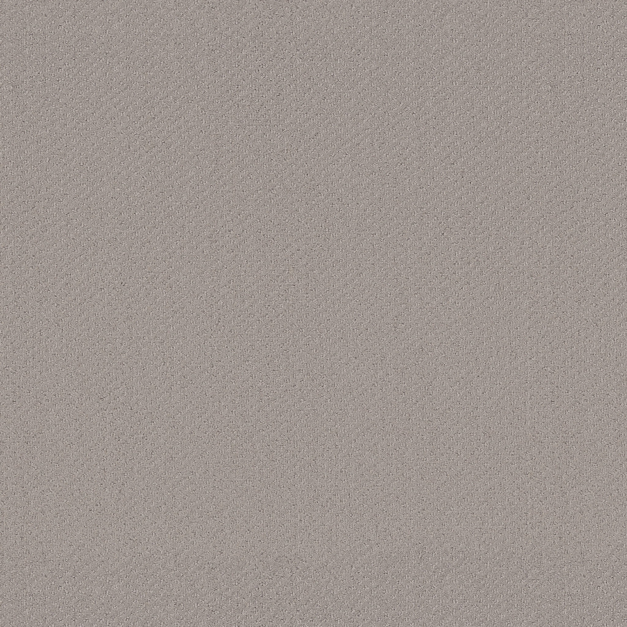 AUSTIN PARK QUIET MOMENT MAIN