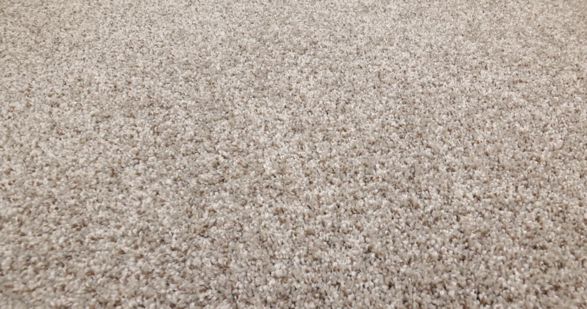 FEELIN' ALRIGHT NATURE TRAIL 360PROD