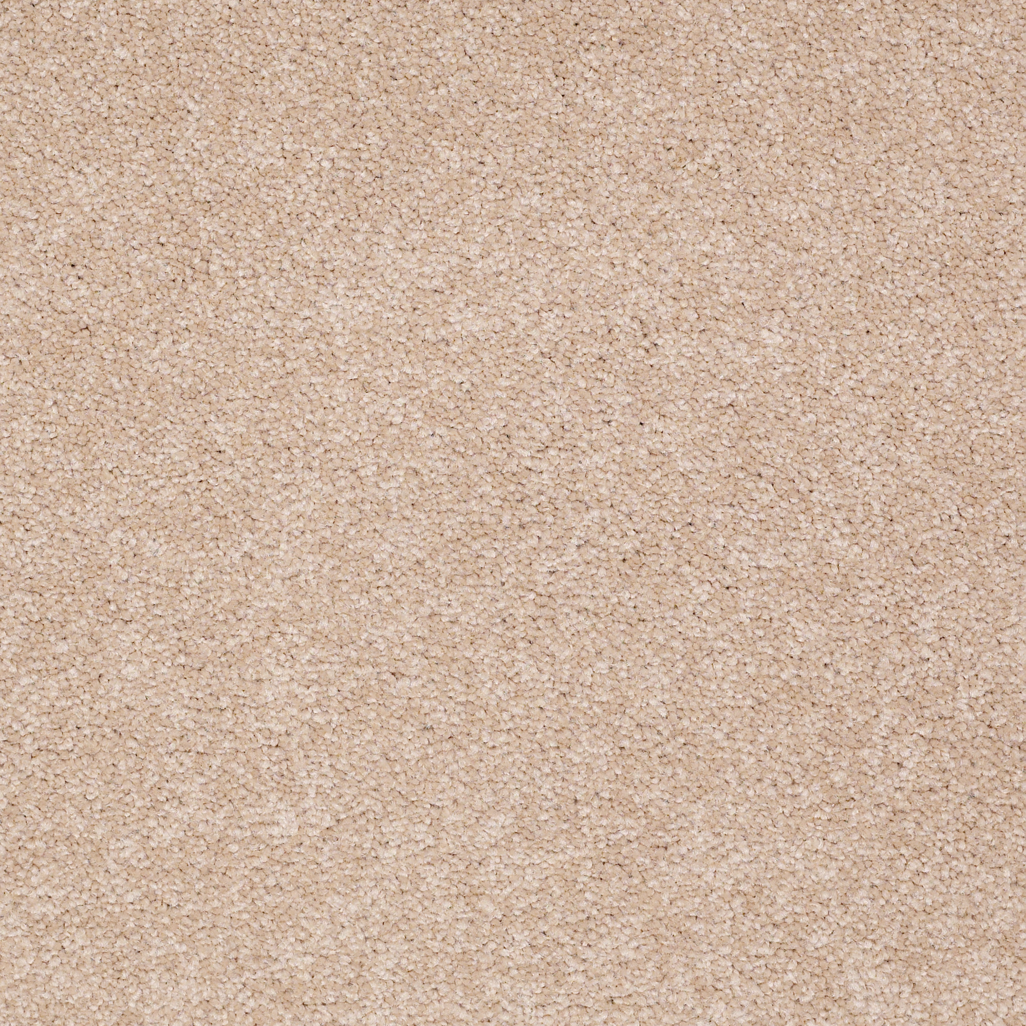 SHINGLE CREEK III 15' STUCCO MAIN