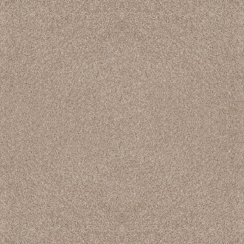 After It I 5E257 Broadloom Carpet in Neutral Ground, 12ft width, 100% PET material
