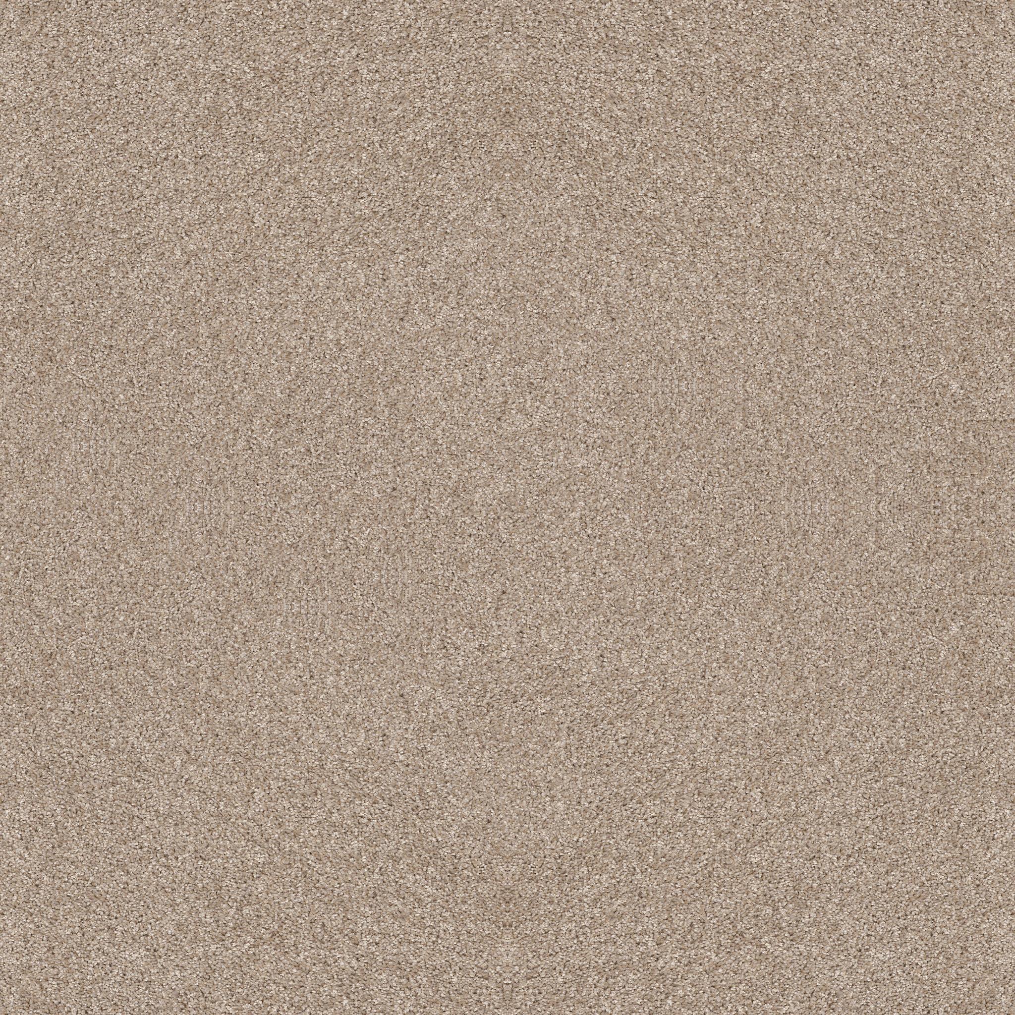 After It I by Shaw Floors