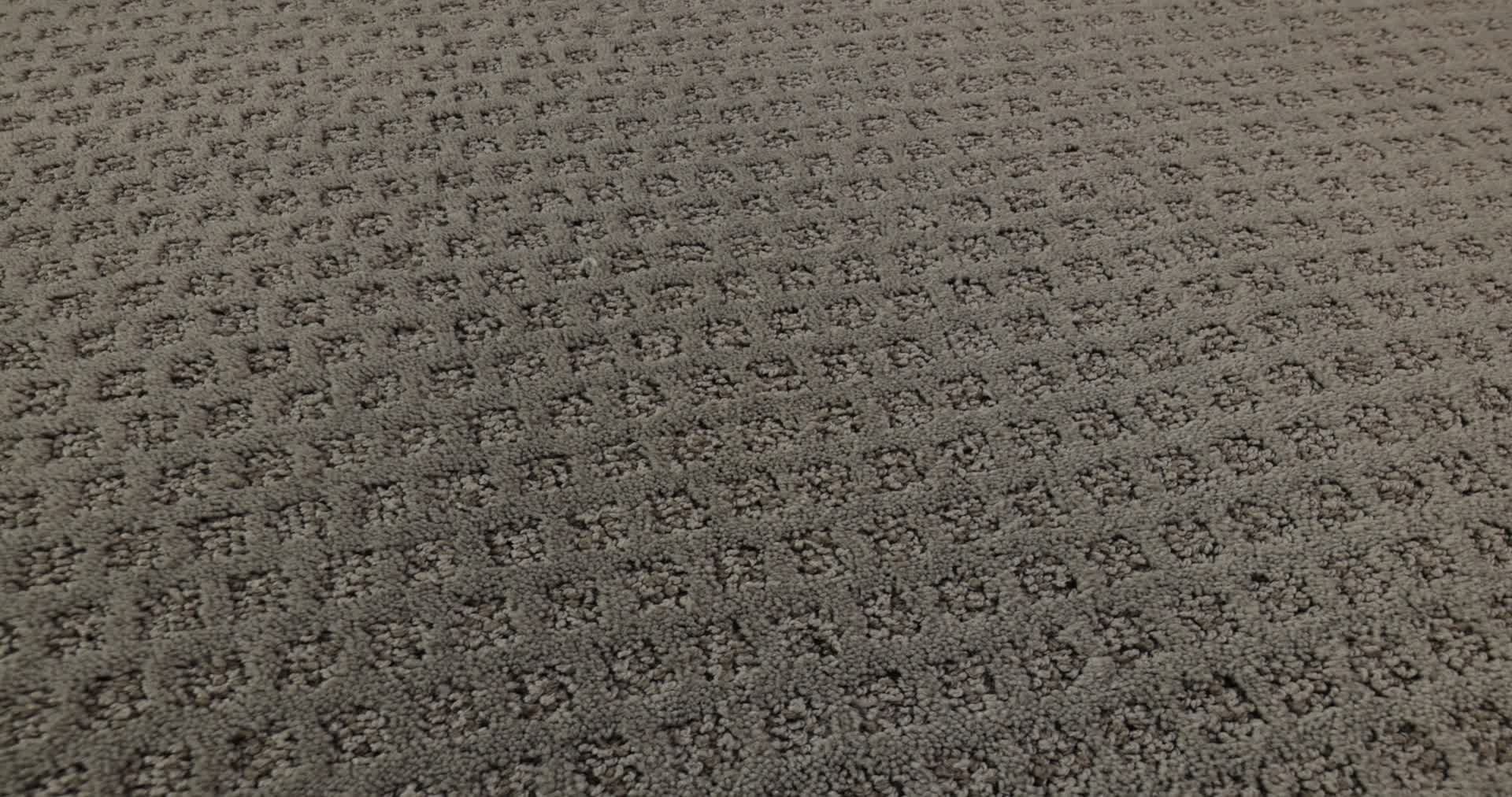 THE ARTS LADY IN GREY 360PROD