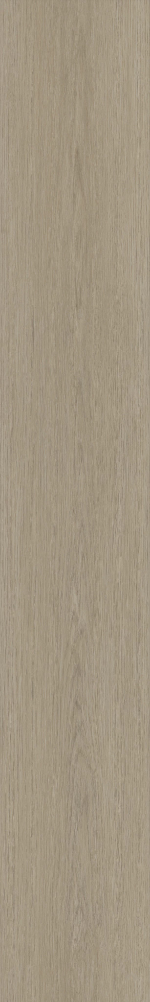 Dwell GOSSAMER GREY 1TO1