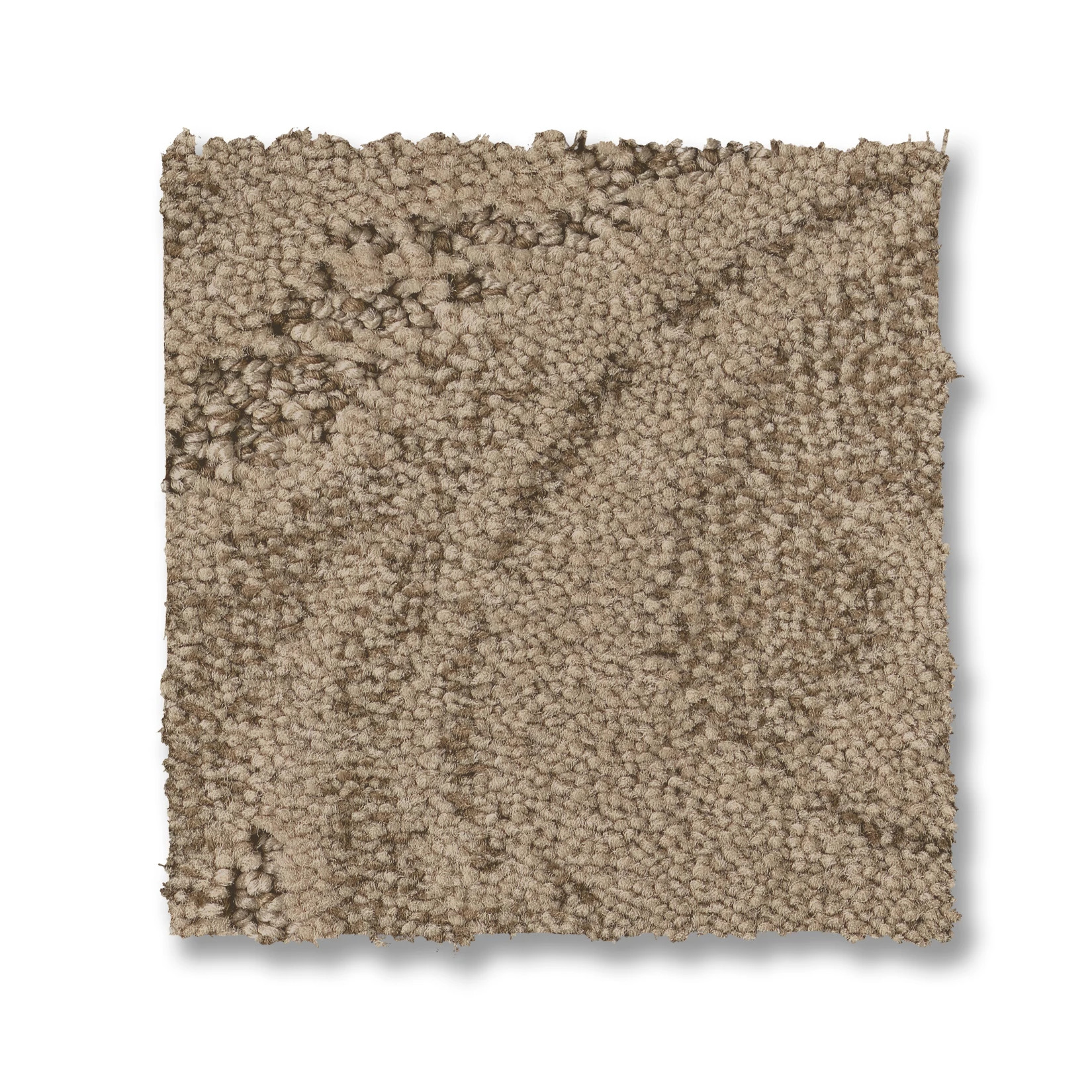 CHARISMATIC WINDSWEPT SWATCH