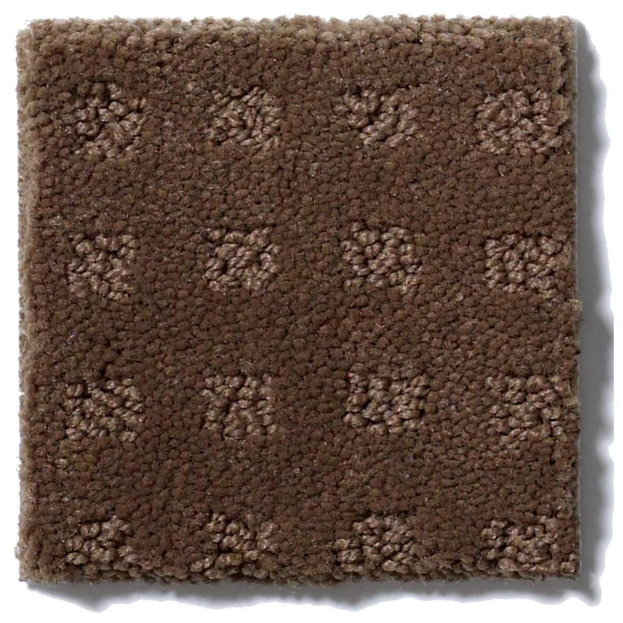 THE FAIR DRIFTWOOD SWATCH