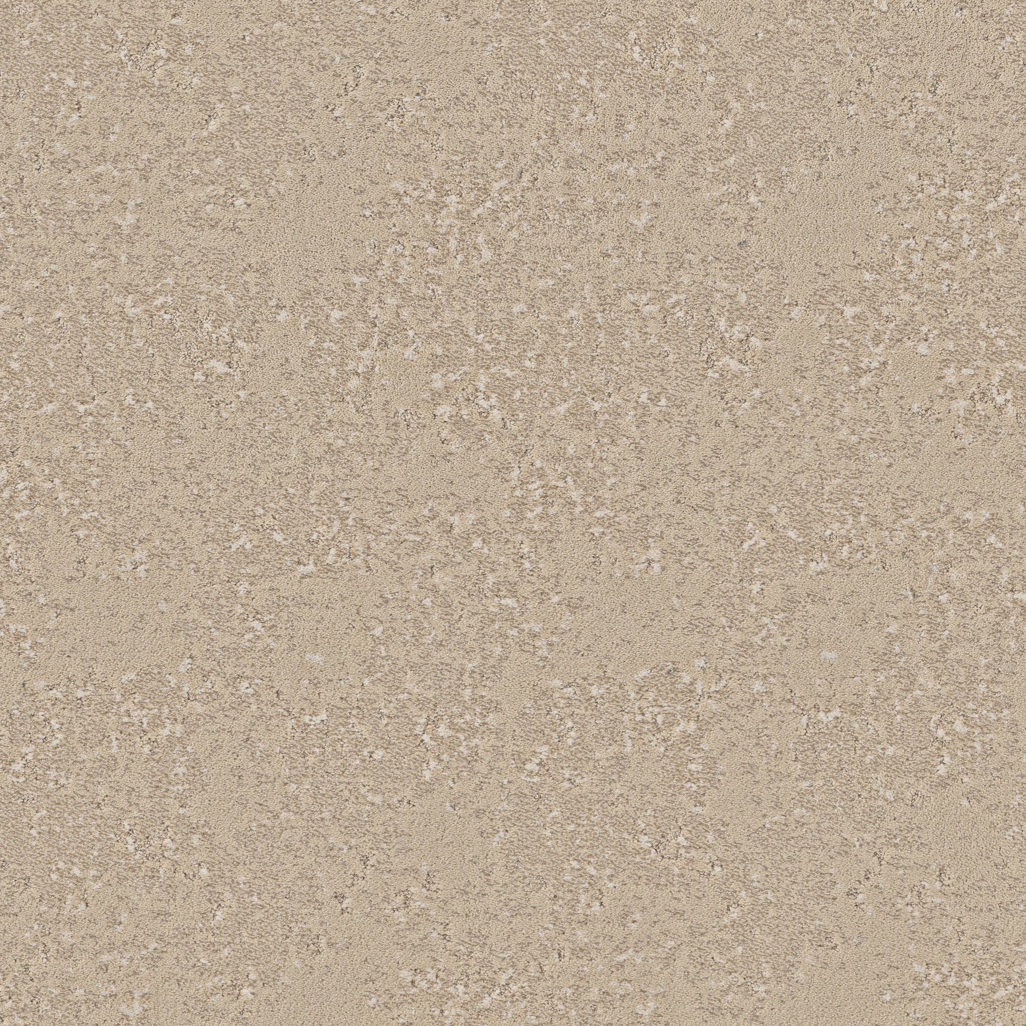 FANCY THAT PALE ALMOND MAIN