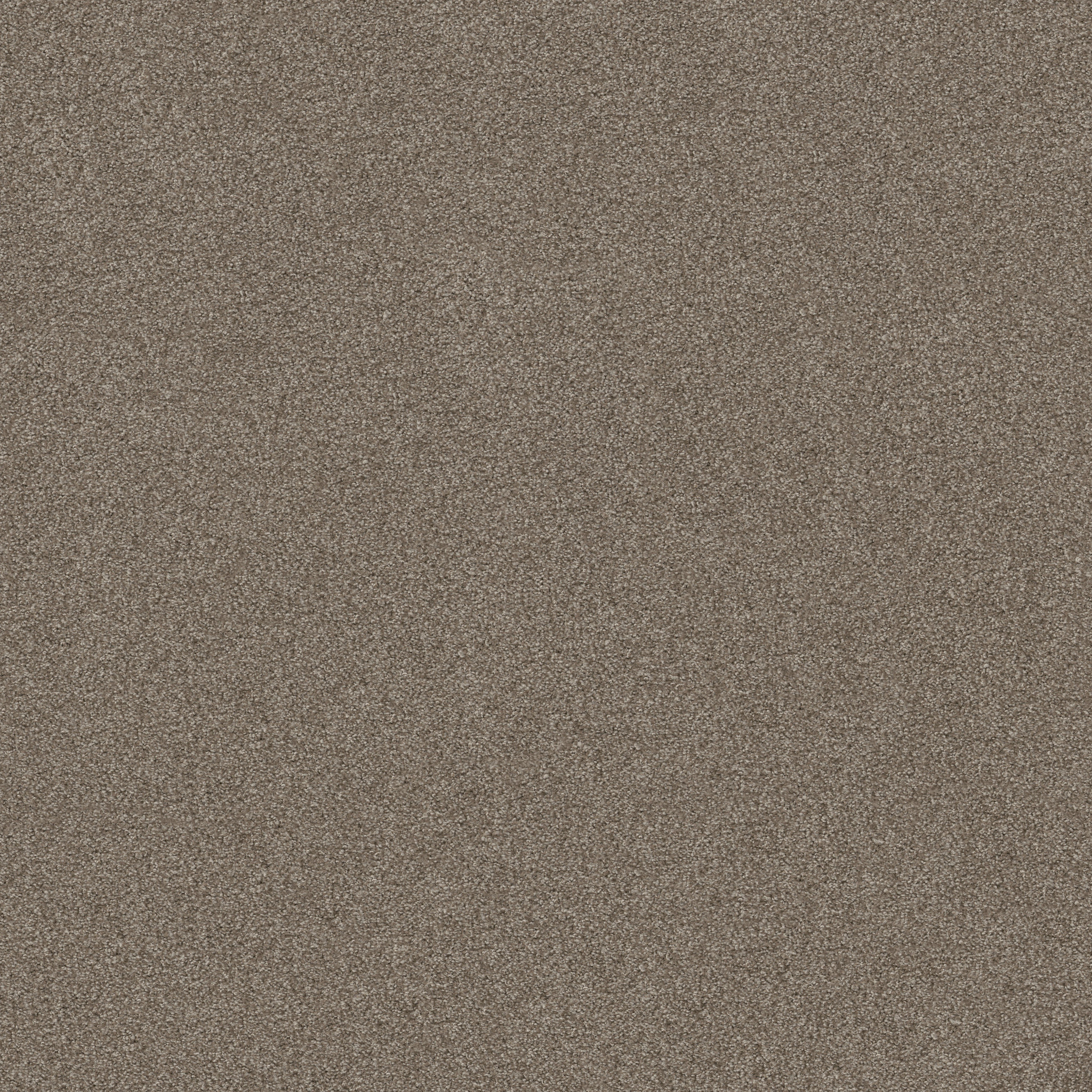 THAT'S RIGHT MOCCASIN MAIN