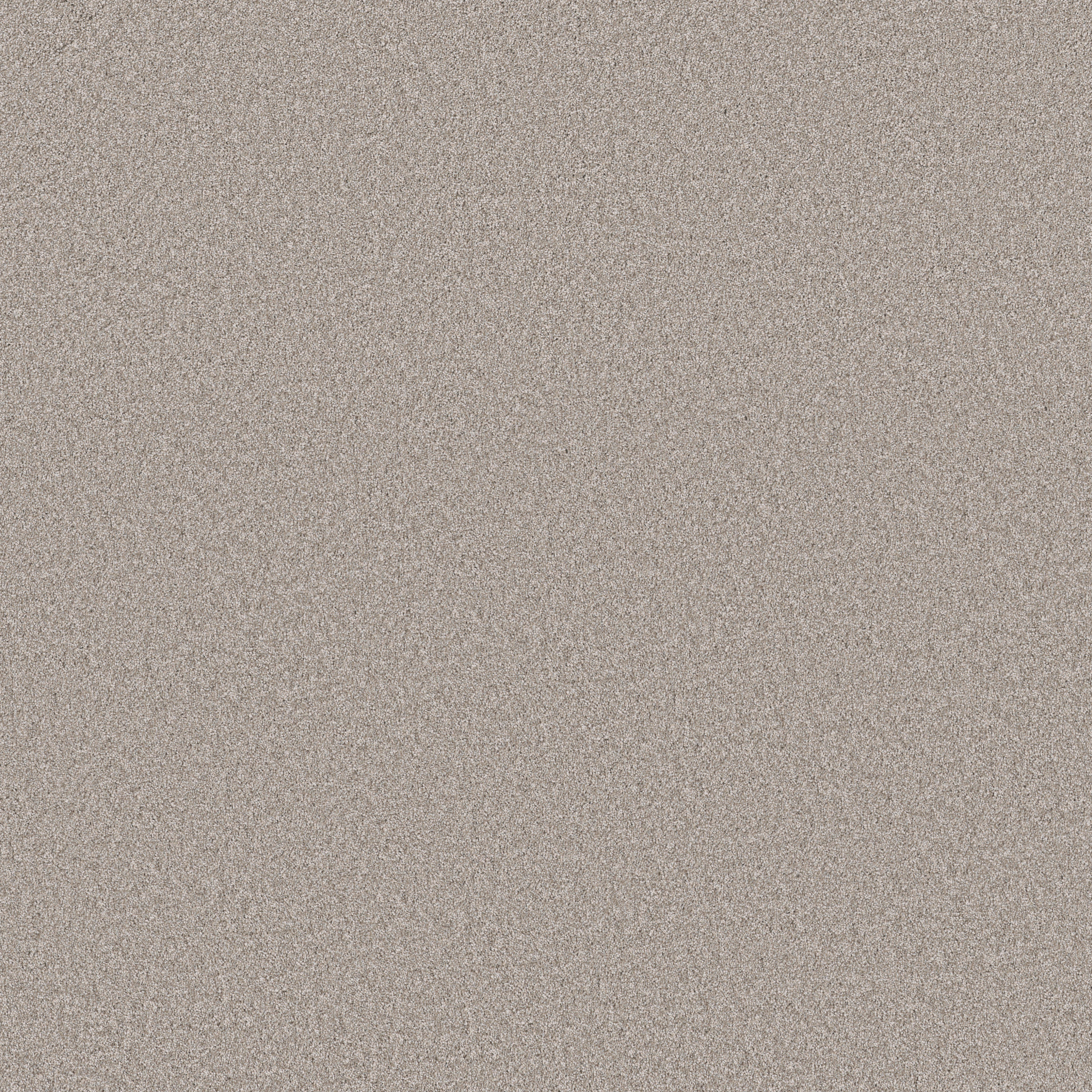 IMAGINABLE I GREAT GREIGE MAIN