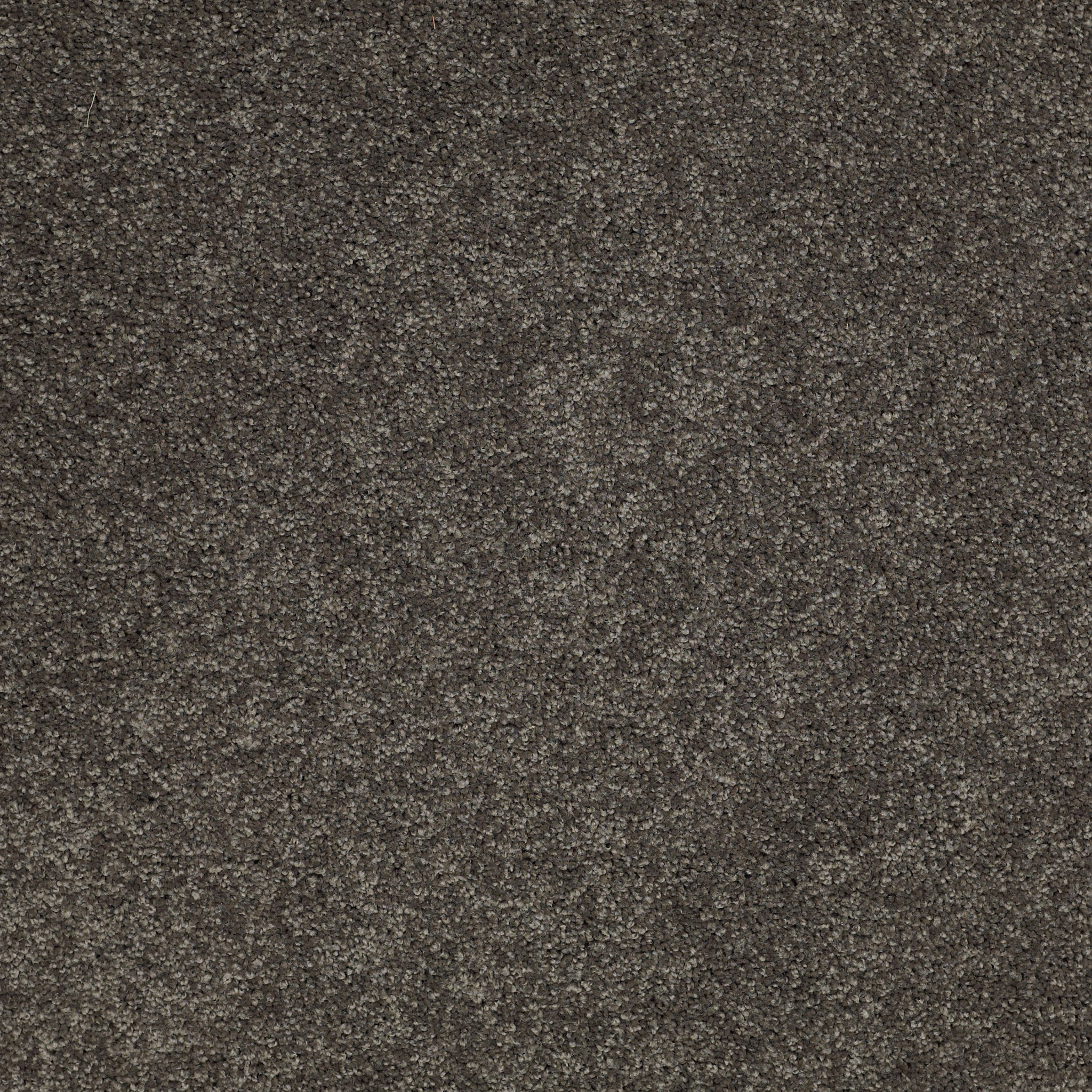 SERENDIPITY I SMOKED PEARL MAIN