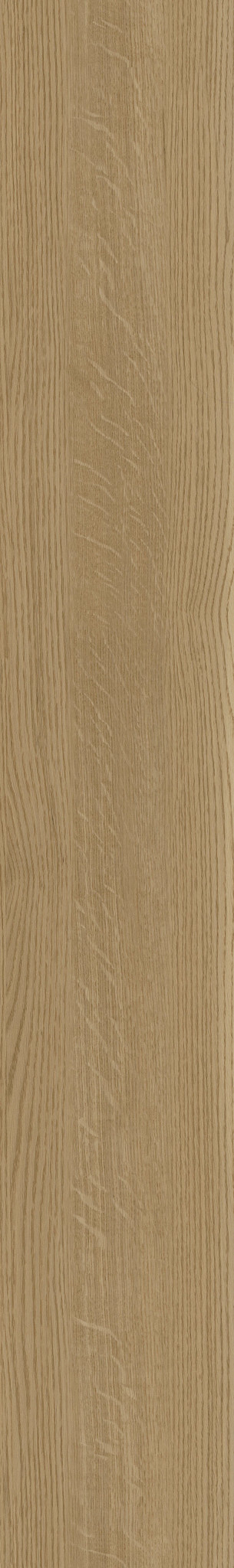 CHARLESTON OAK 53 1TO1