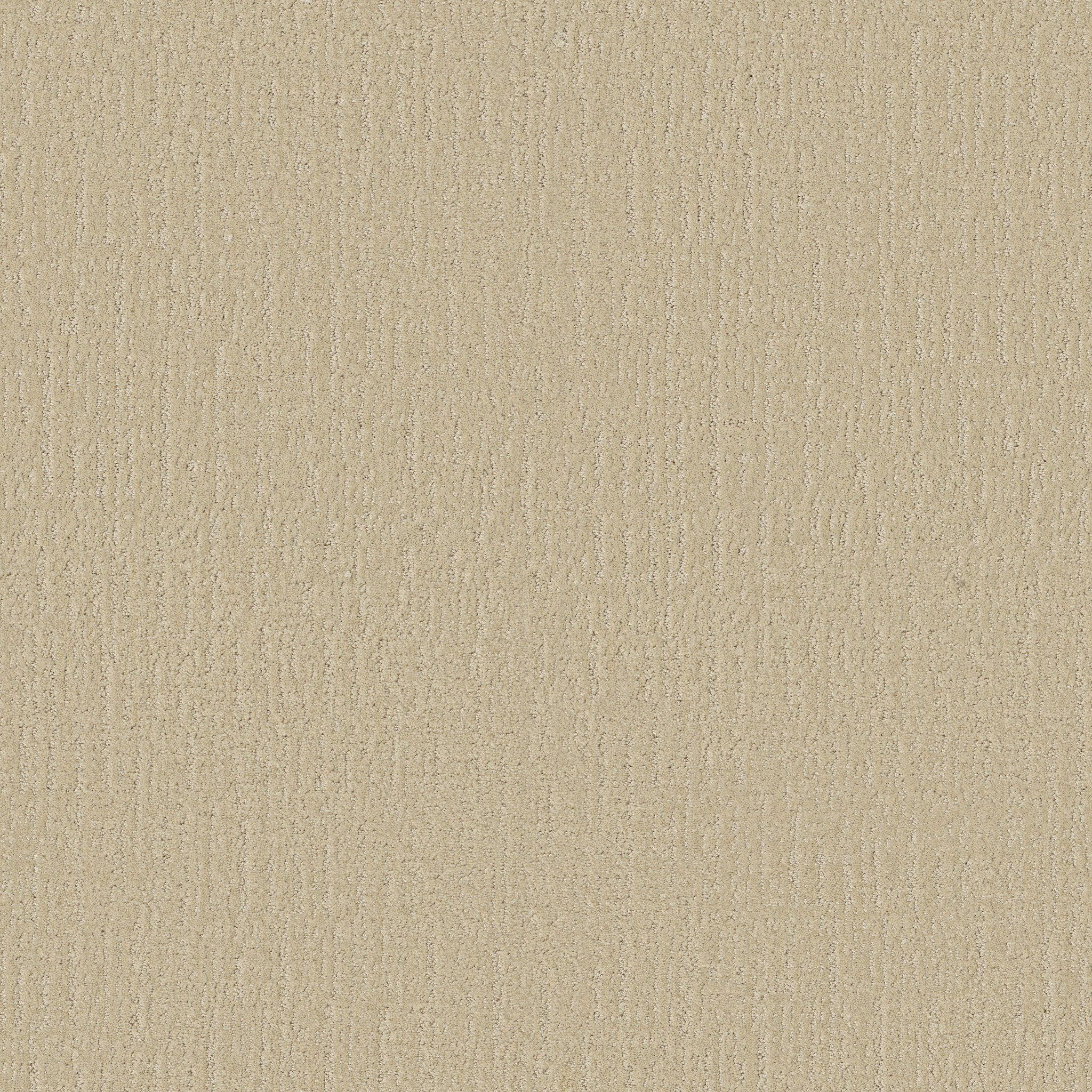 ENDLESS MEMORIES SUN KISSED MAIN