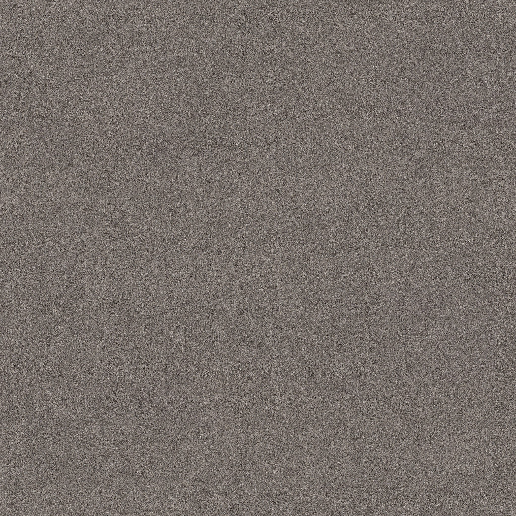 BLENDED TOUCH I WILD ROCKS MAIN