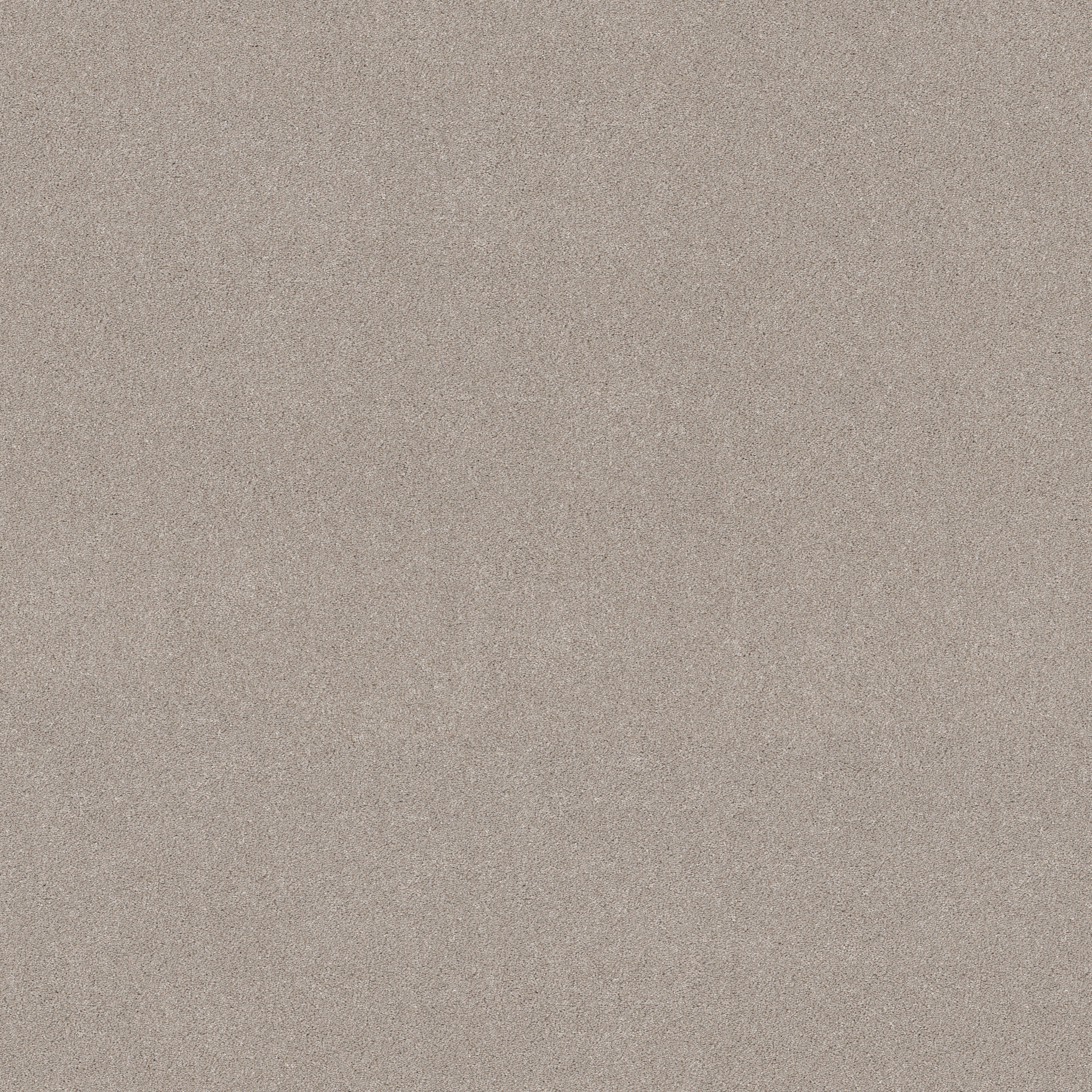 BLENDED TOUCH II SHADOW MAIN