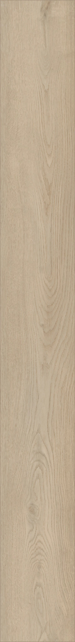 STARTING LINE SUNLIT BEIGE 1TO1