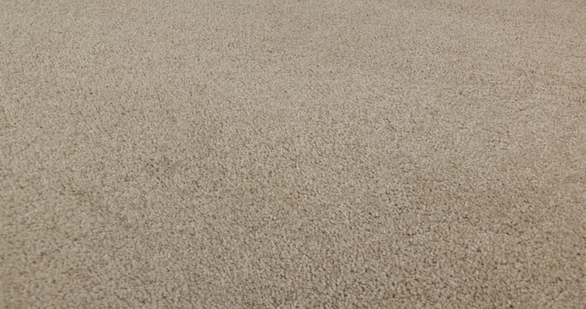 FANTASTICAL FRENCH CANVAS 360PROD