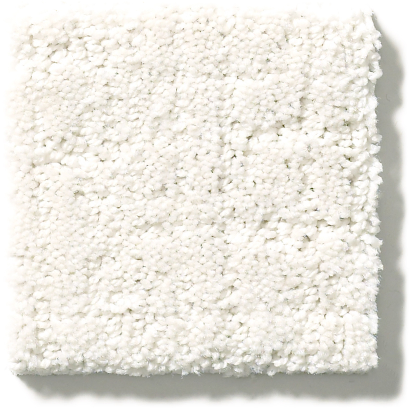 CREATING MEMORIES GALLERY OPENING SWATCH