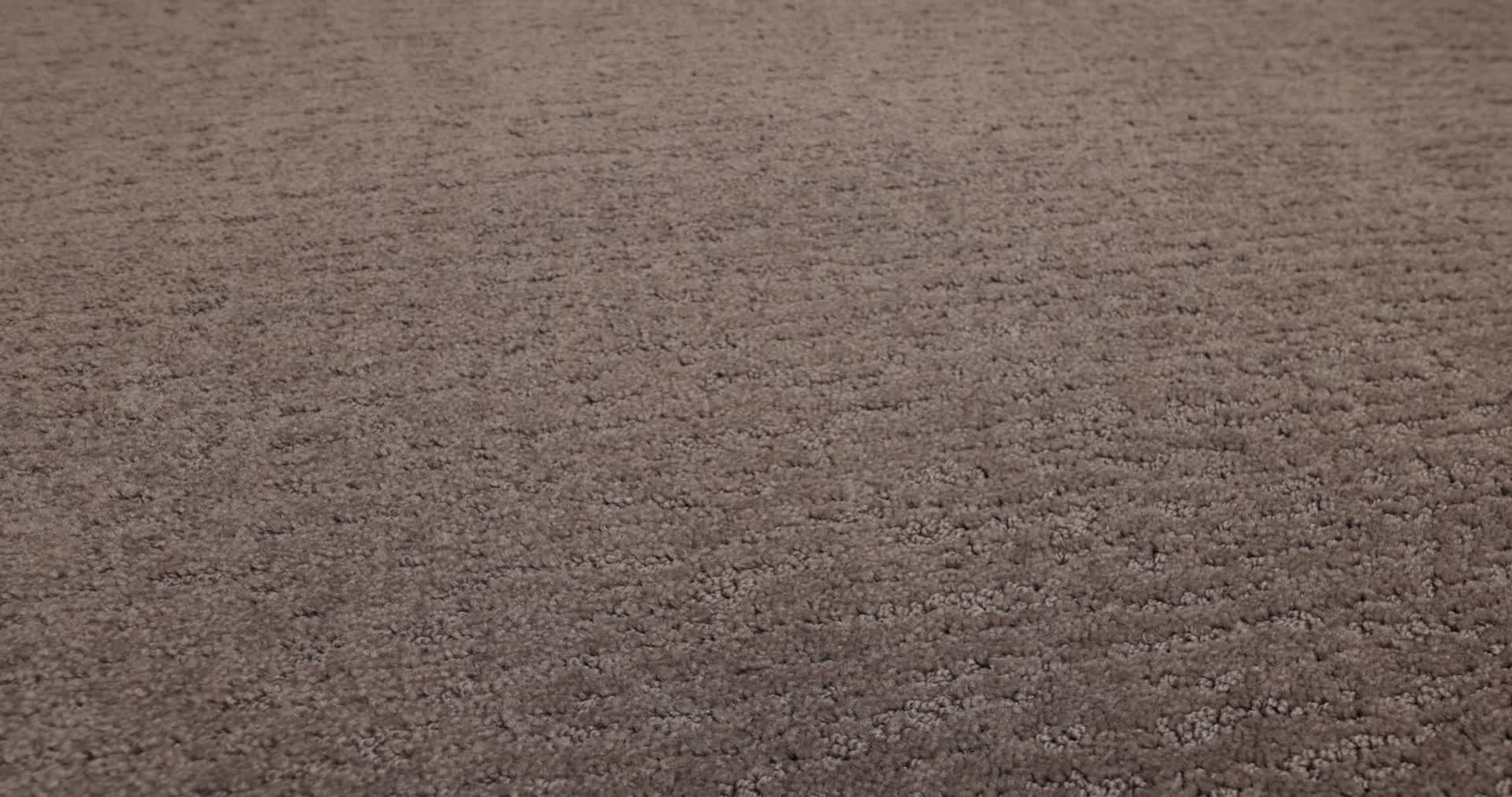 SKETCH CHANTRELLE 360PROD