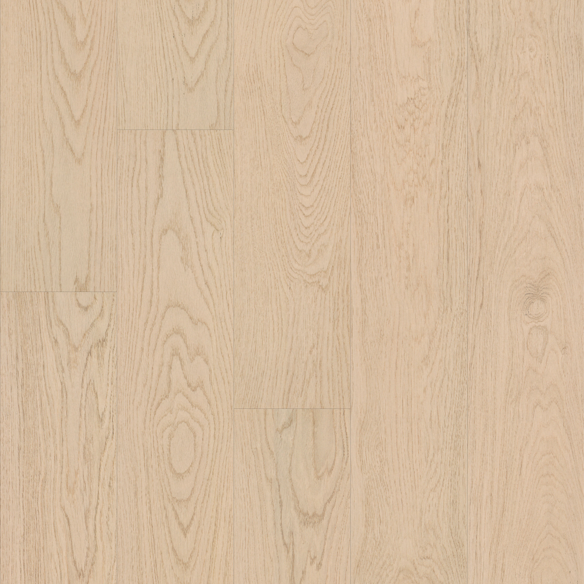 OAK GROVE PAMPAS GRASS MAIN