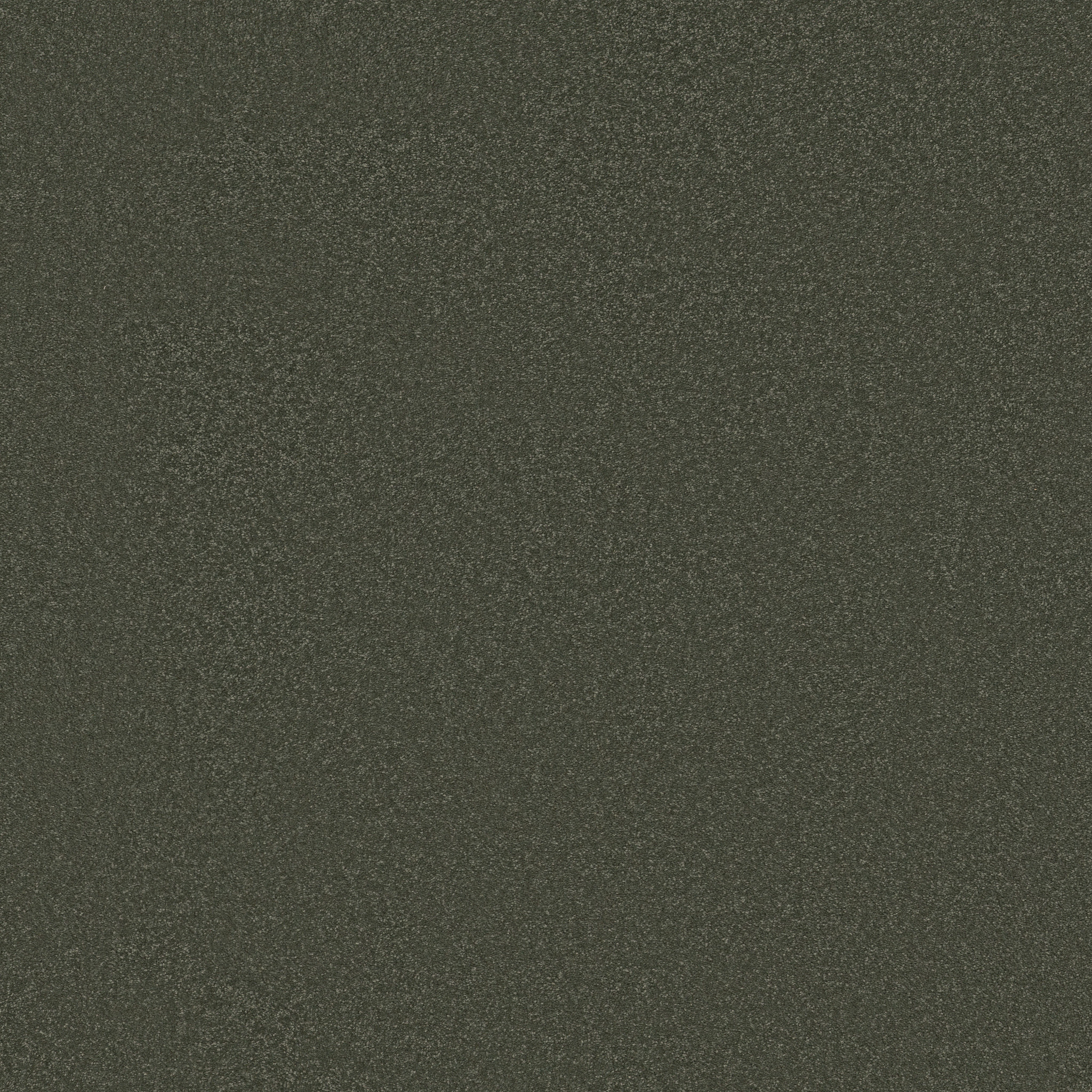 AWAKEN SPIRIT II 12' OLIVE TREE MAIN