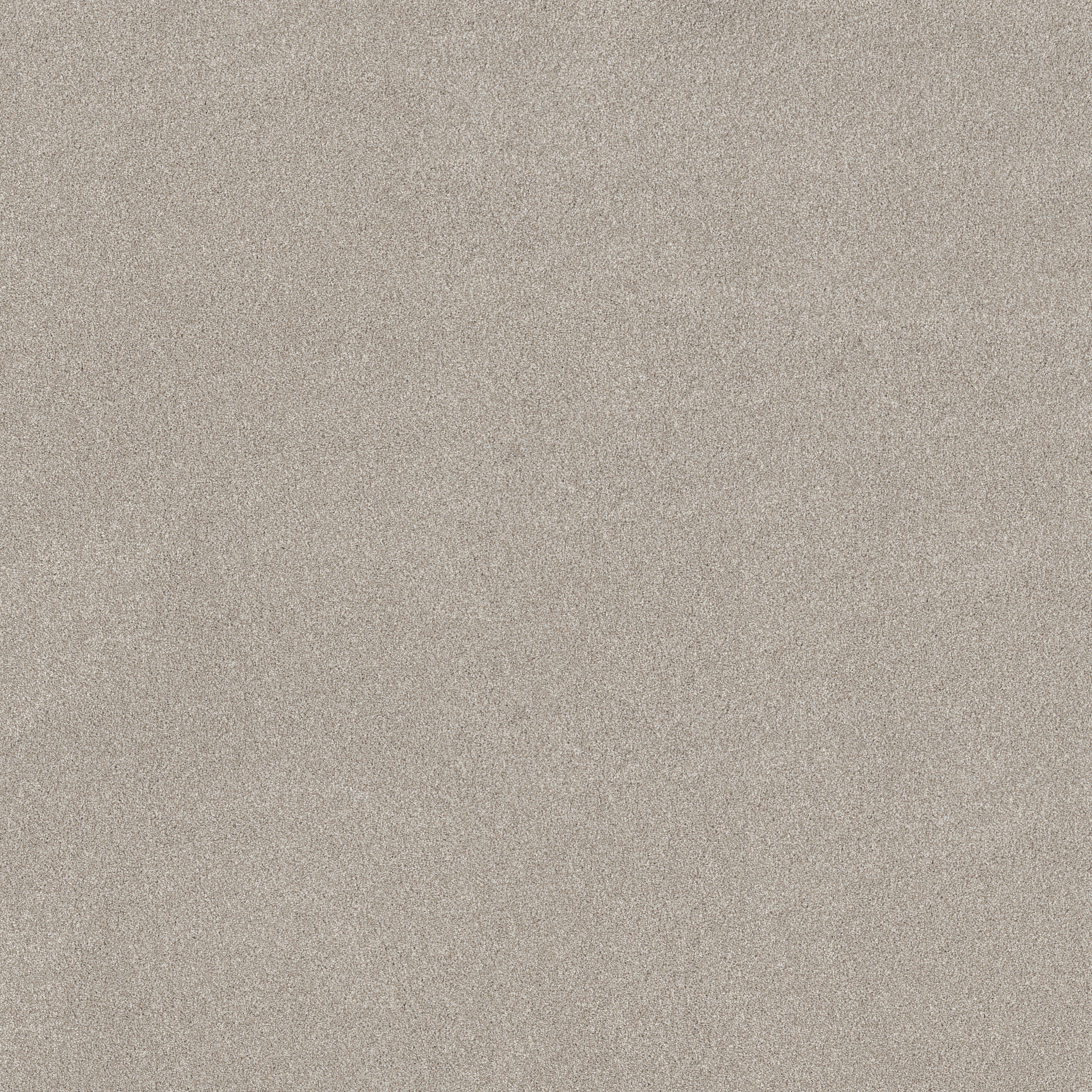 VIVID TOUCH II BEIGE MIST MAIN