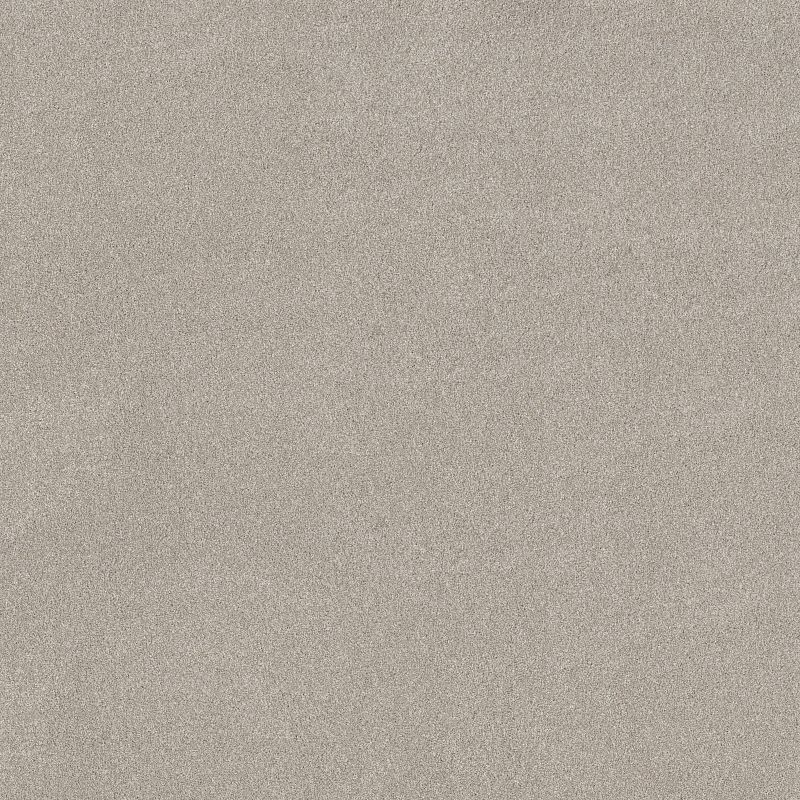 Vivid Touch II 5E874