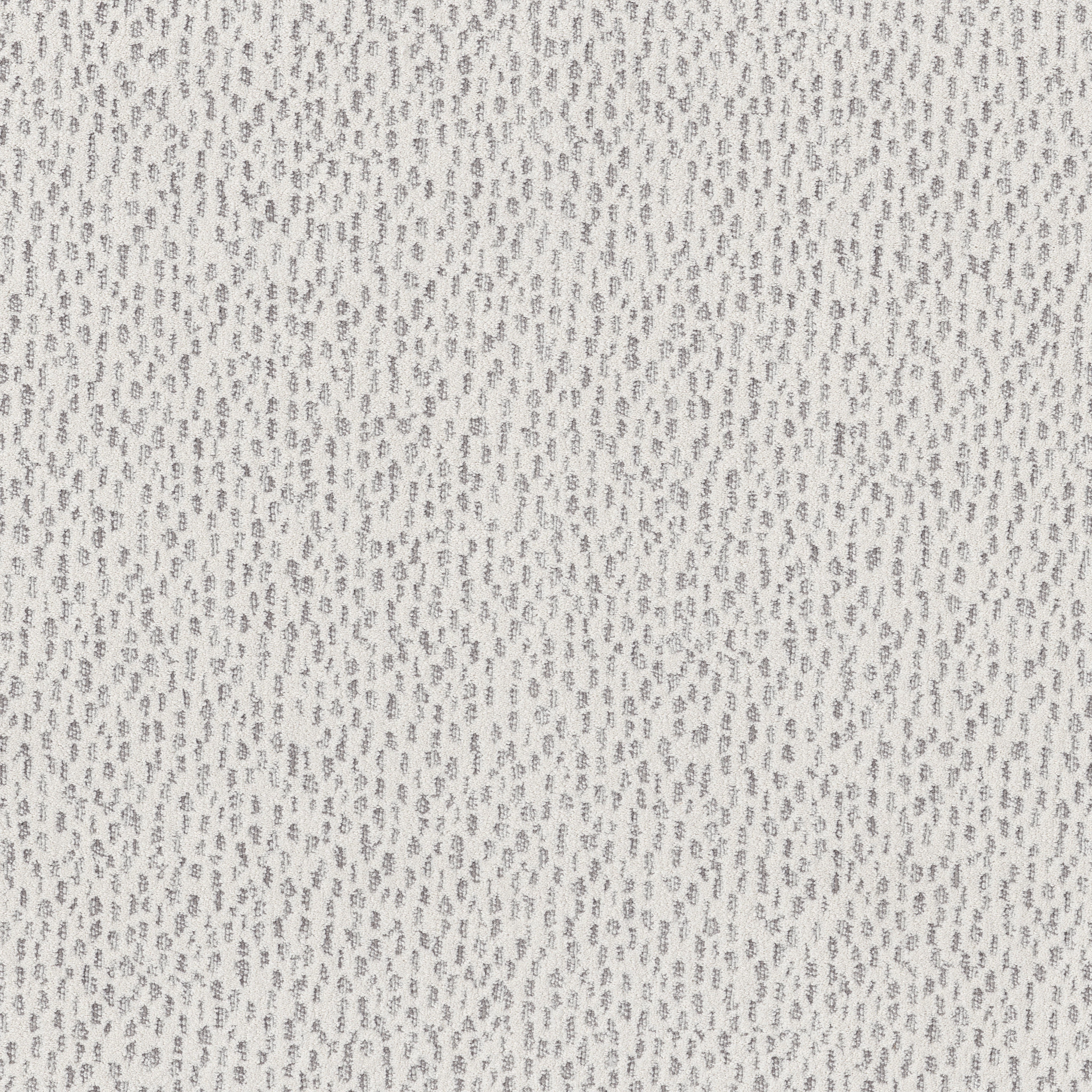 AMBITIOUS FIRST FROST MAIN