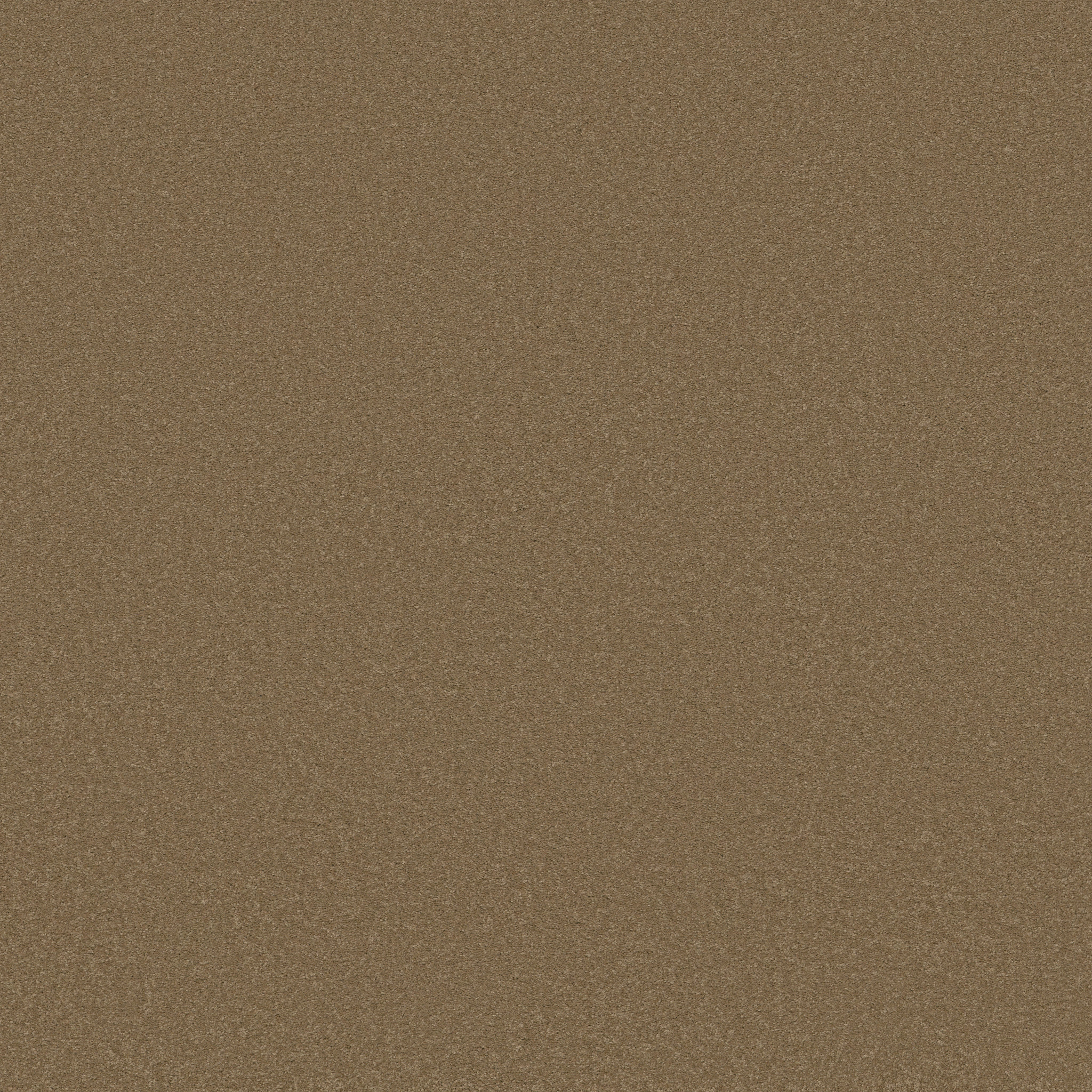 SOPHISTICATION 12' MUFFIN MAIN