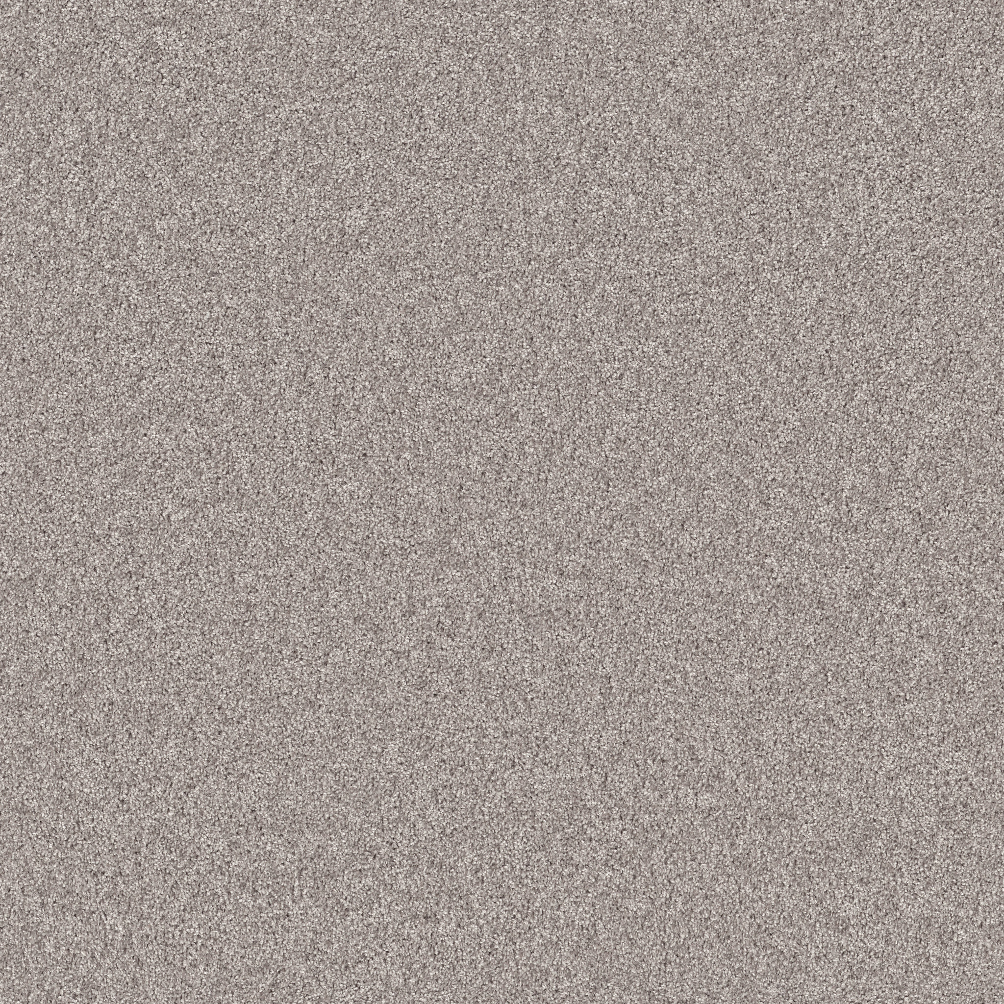 AGILITY CLOUDY SKIES MAIN