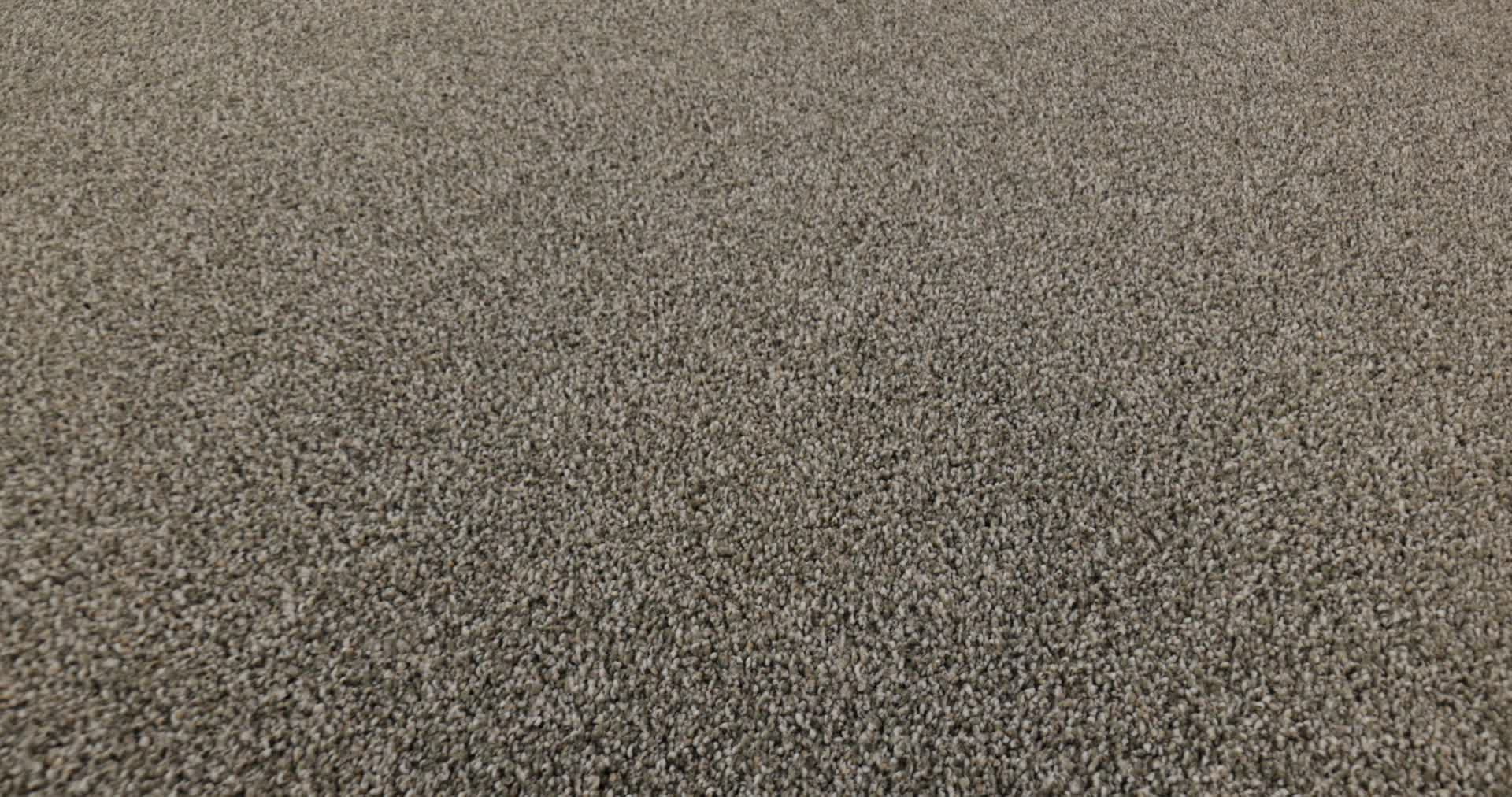 TIMELESS TONE BLUE OLIVE TREE 360PROD