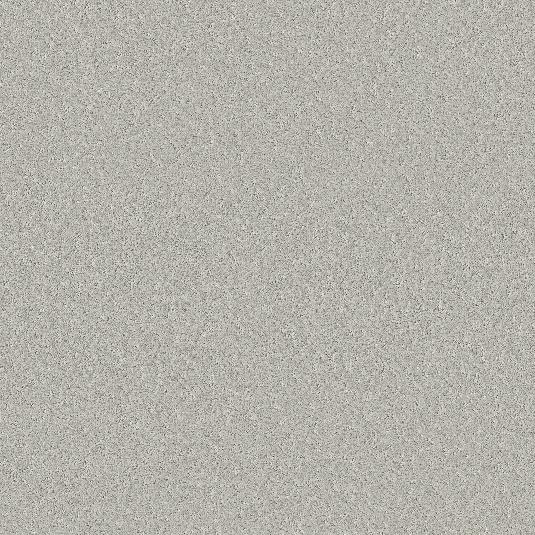 CLEVER CHOICE FOREST FOG MAIN