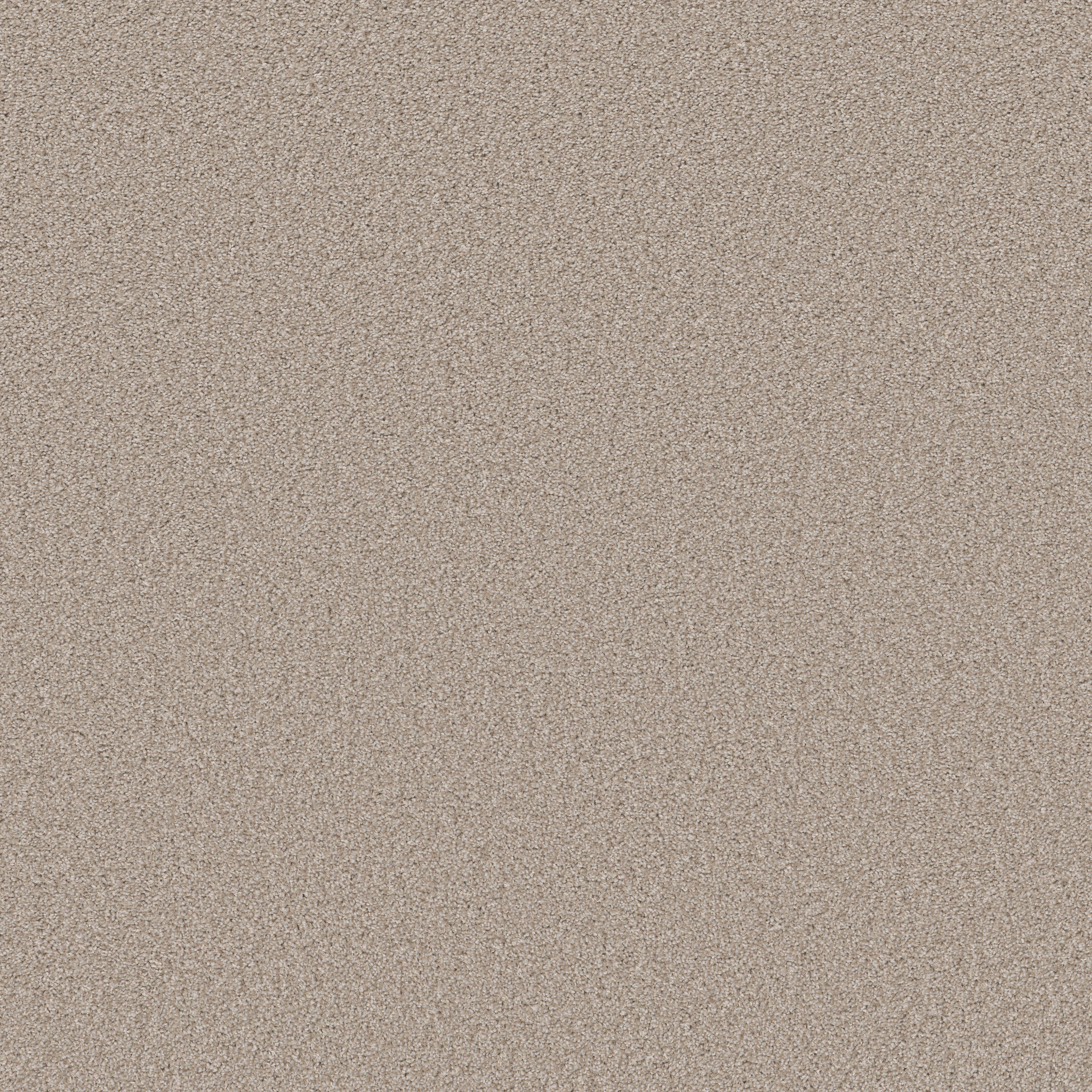 HIGH IMPACT T EVER AFTER MAIN